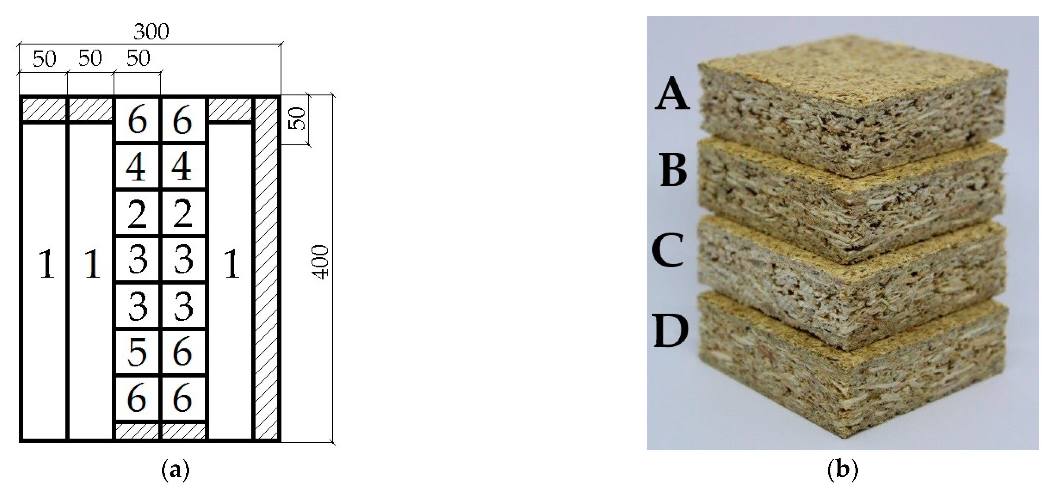 Forests 12 01597 g003