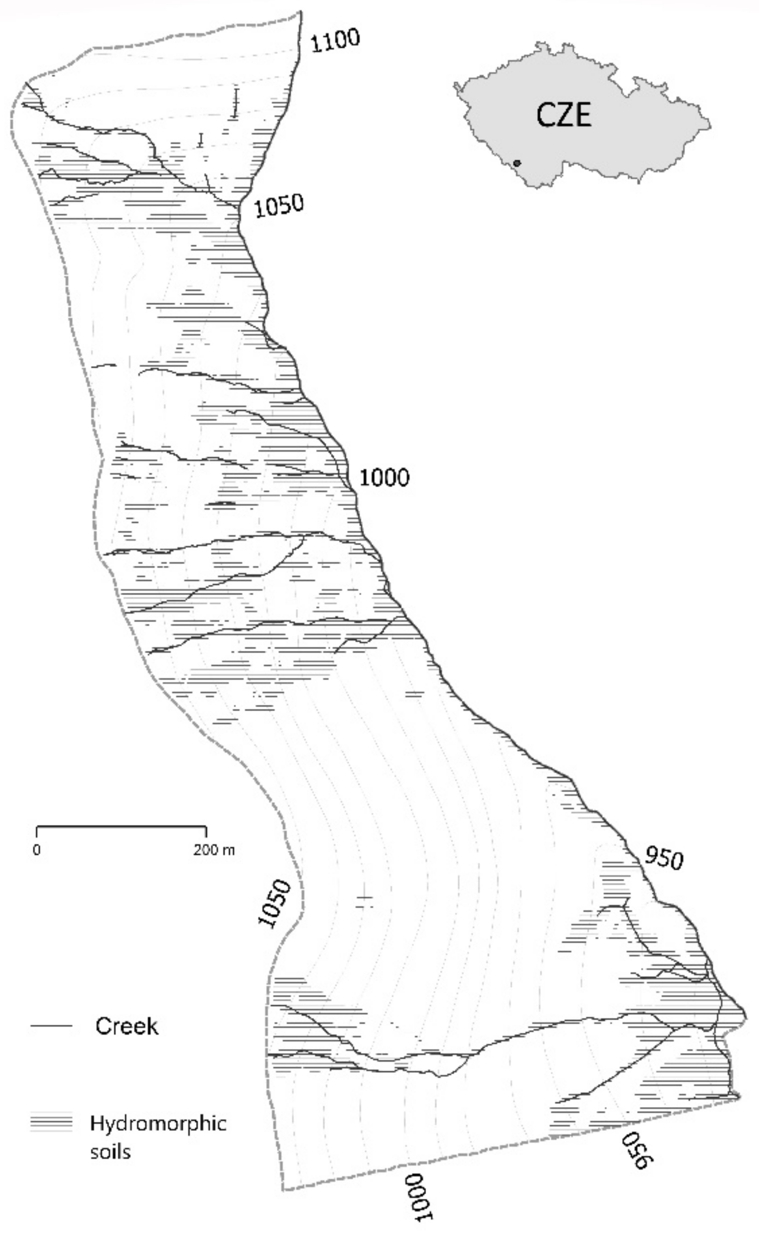 Forests 12 01599 g001 Forests 12 01599 g001