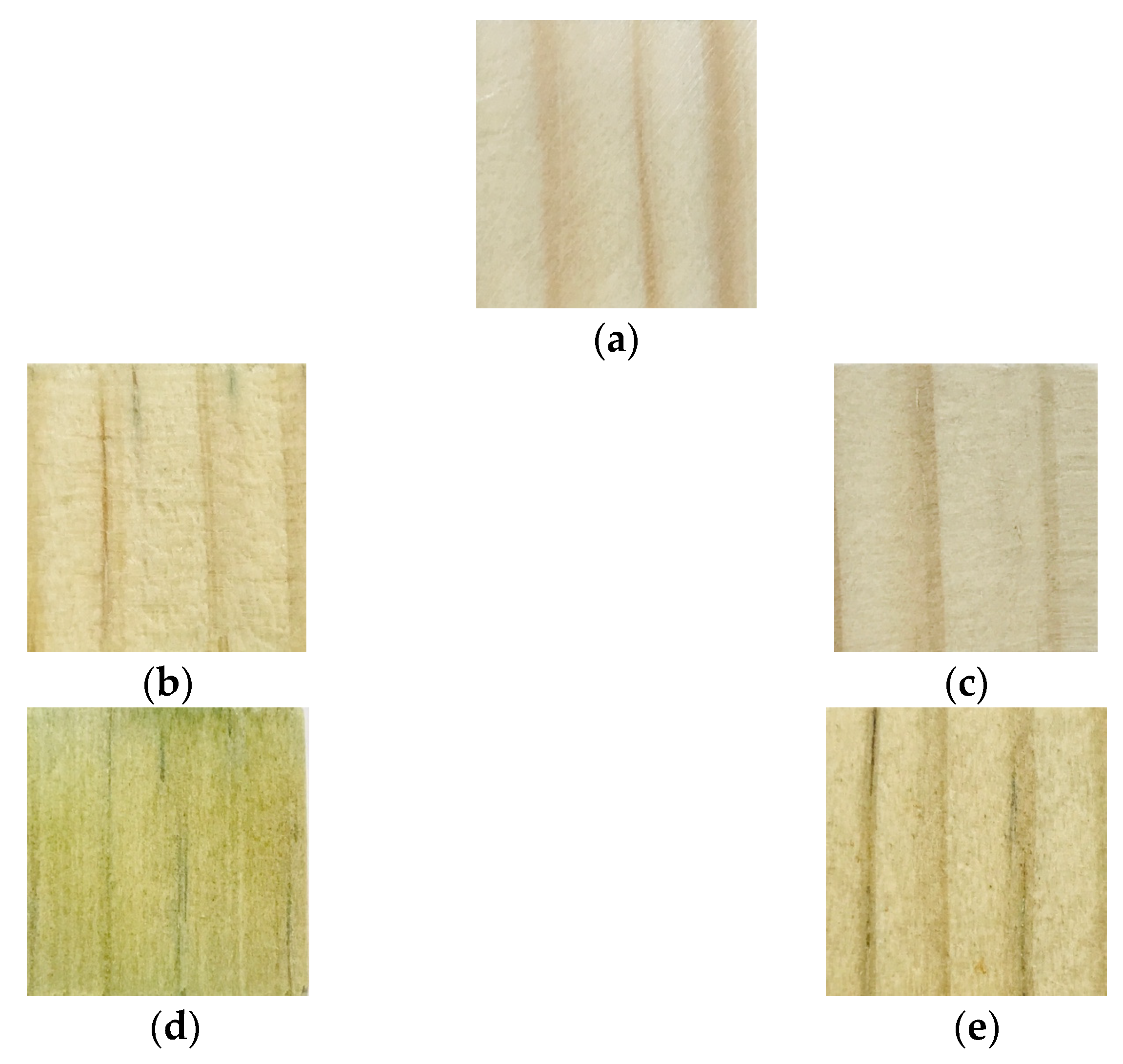 Forests 12 01606 g004 Forests 12 01606 g004
