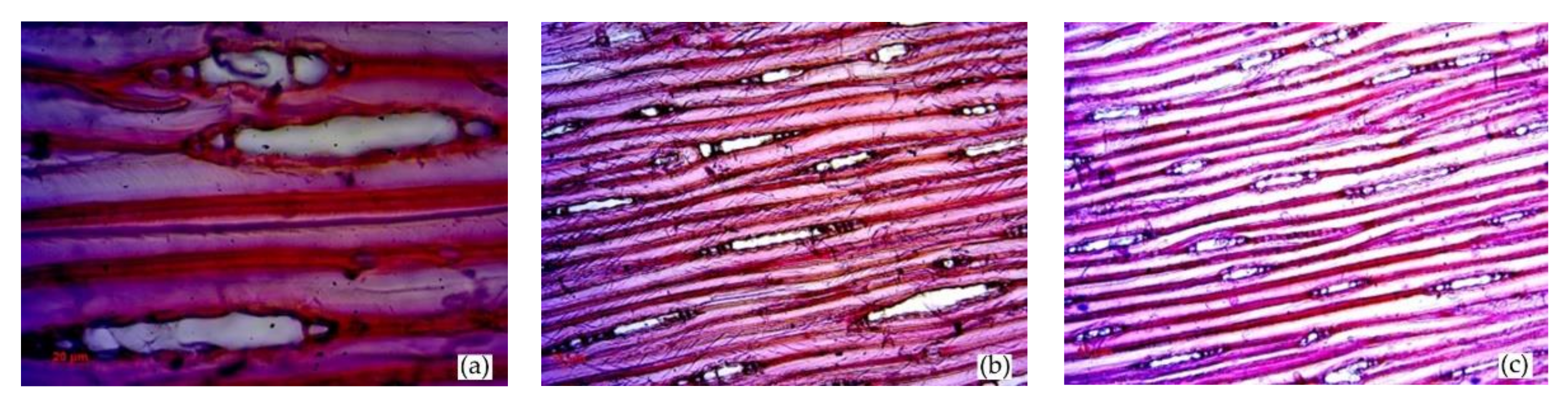 Forests 12 01607 g002