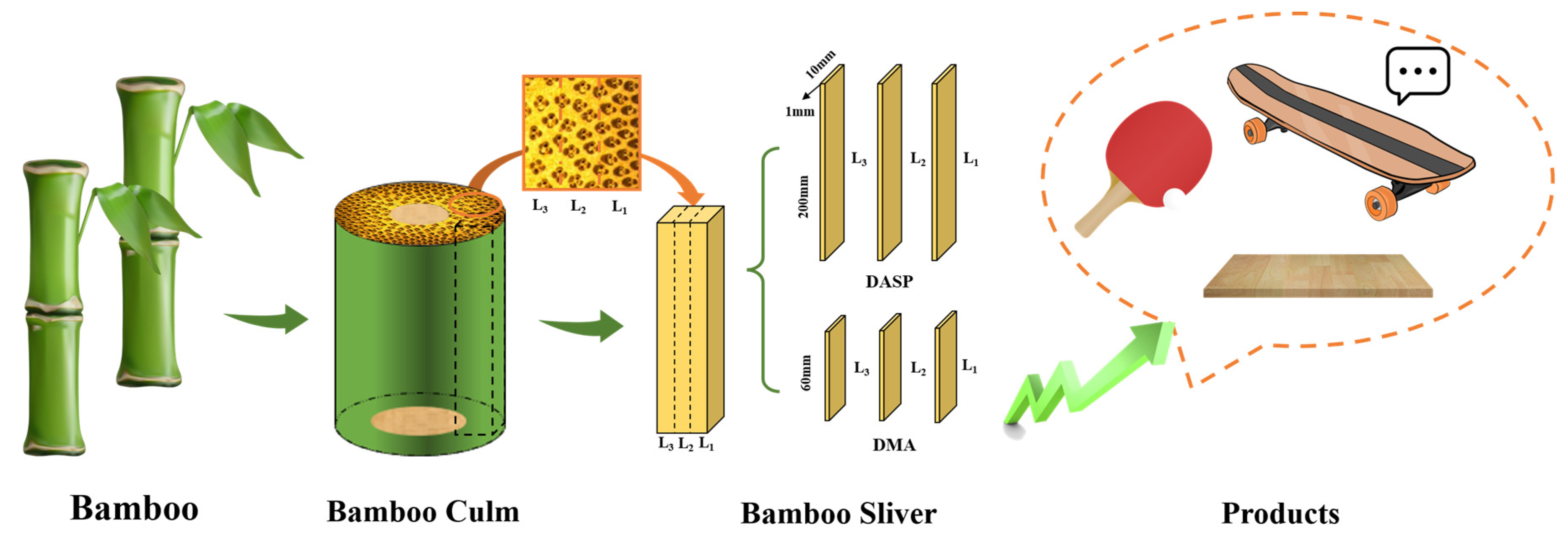 Forests 12 01654 g001