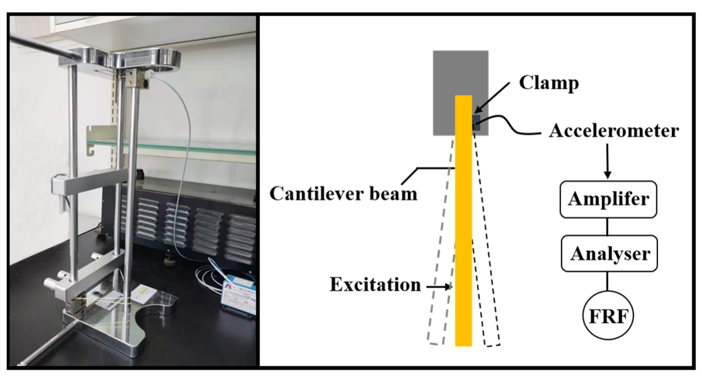 Forests 12 01654 g002