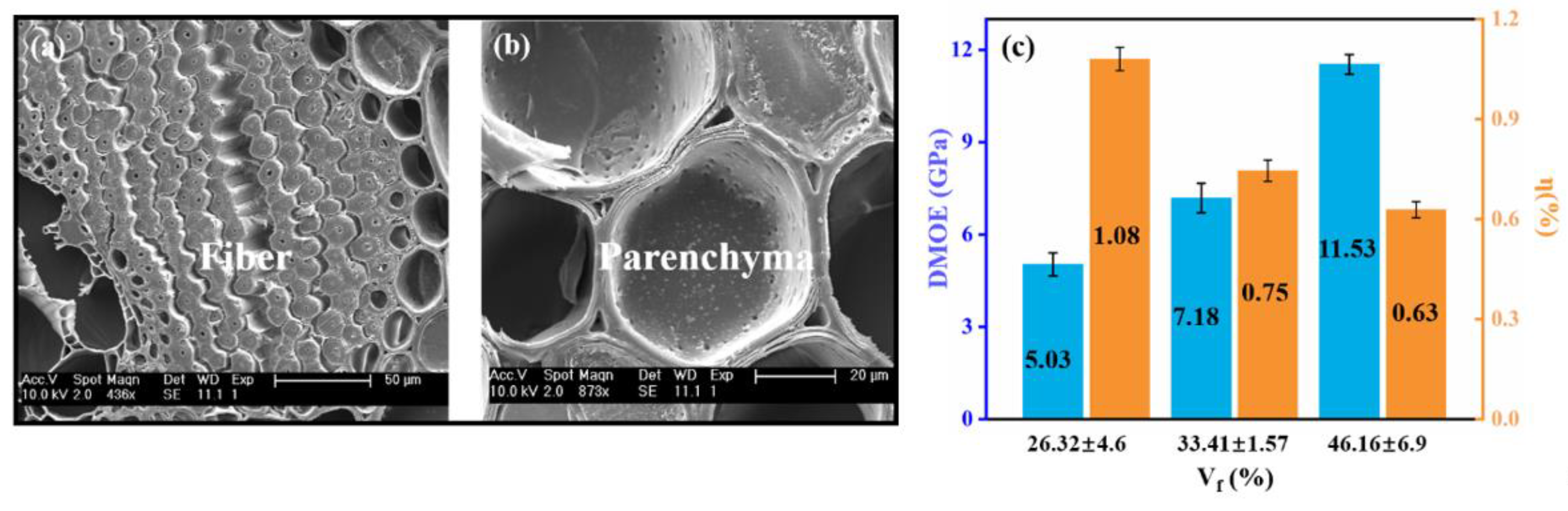 Forests 12 01654 g005