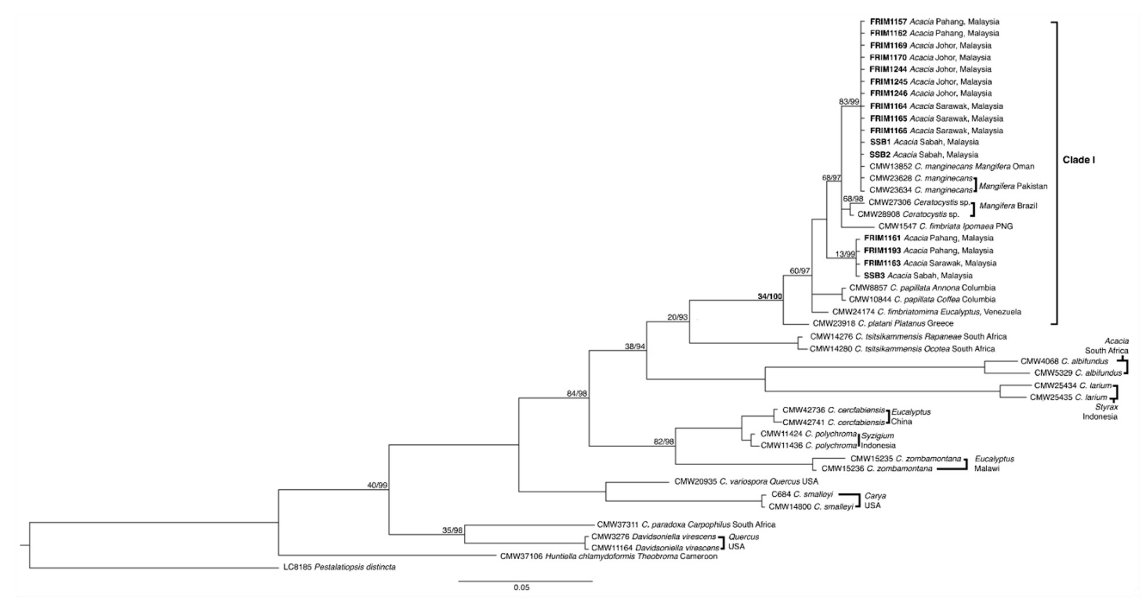 Forests 12 01782 g003