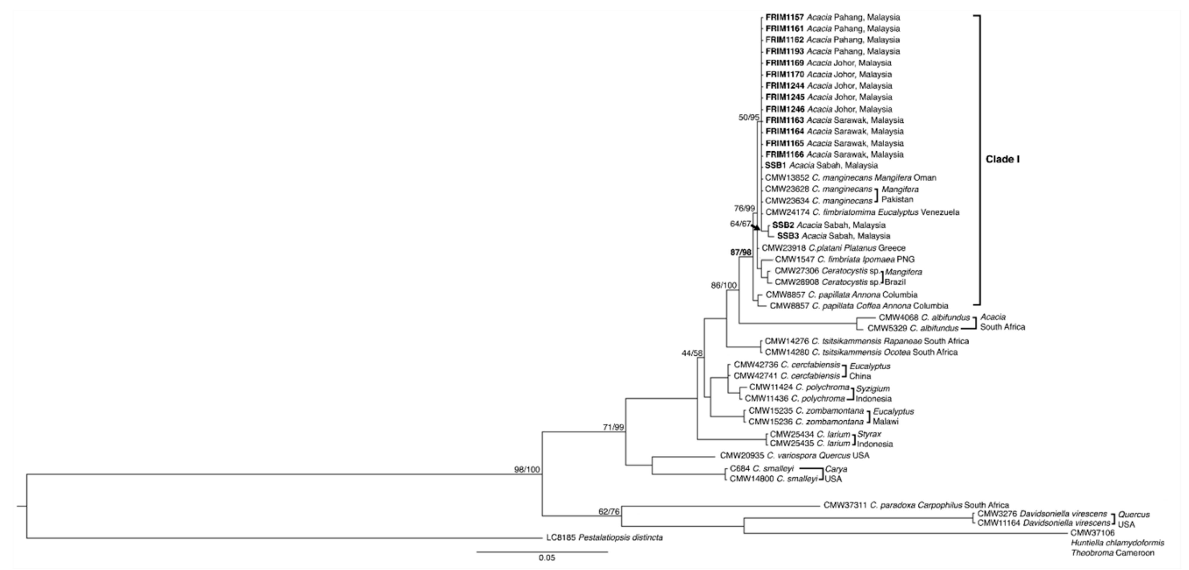 Forests 12 01782 g004