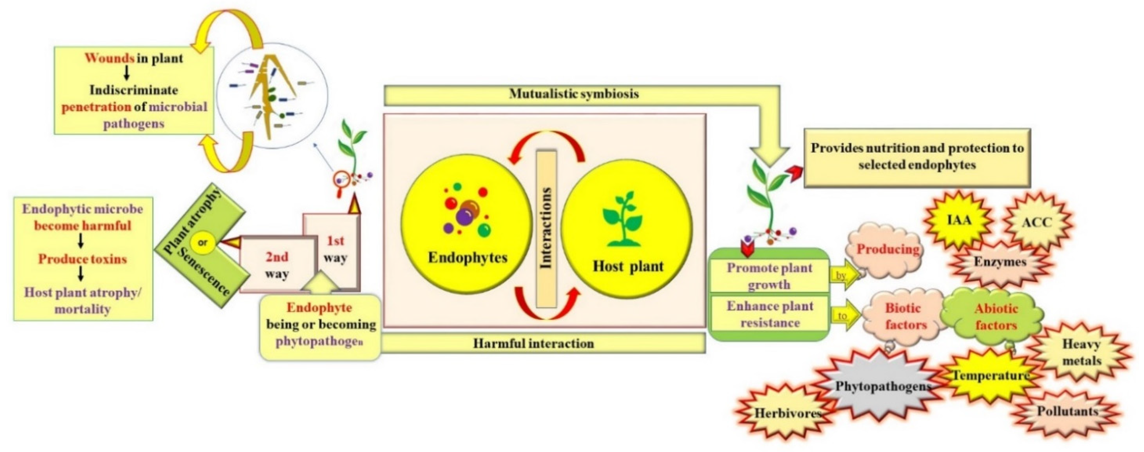Forests 12 01784 g001