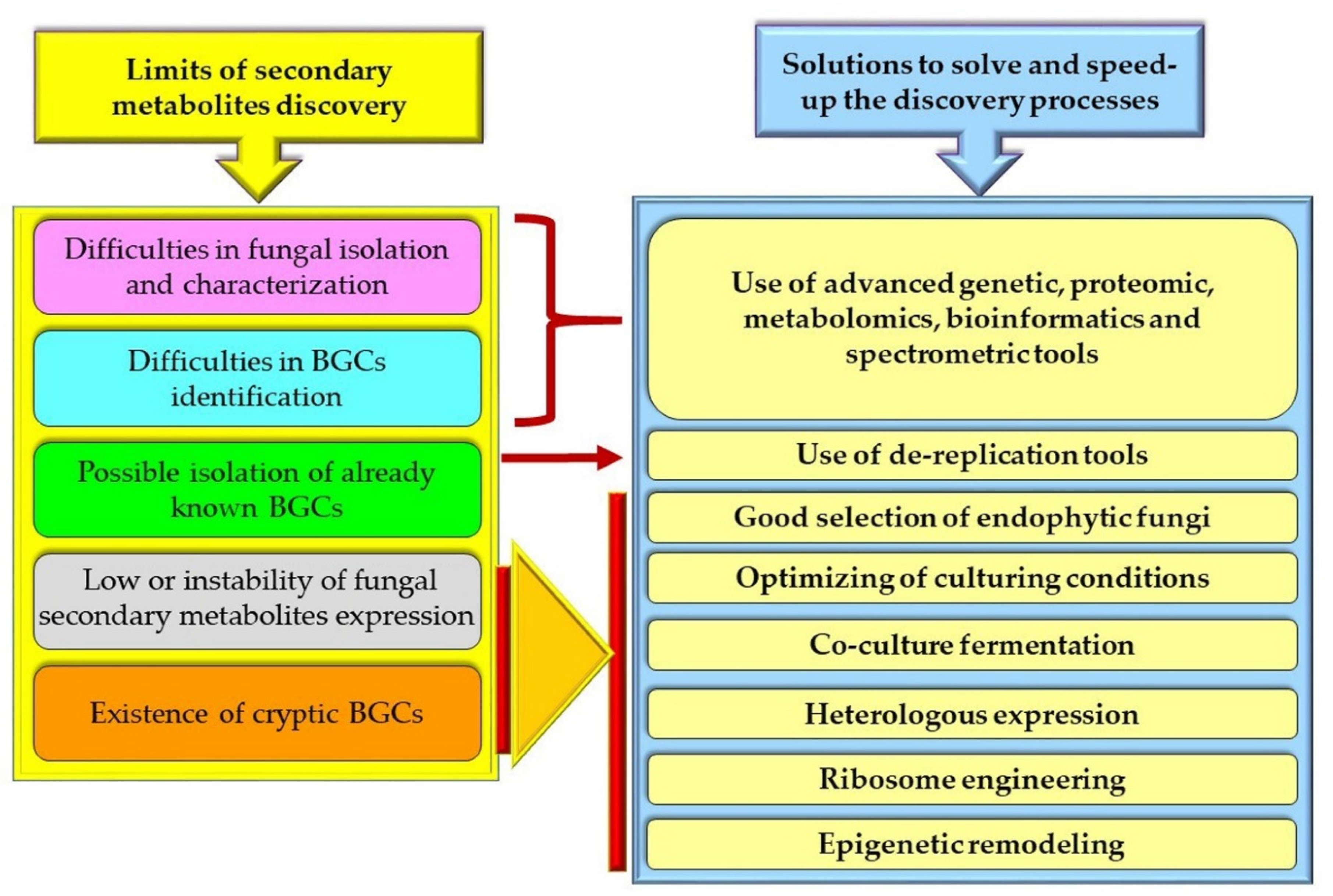 Forests 12 01784 g003