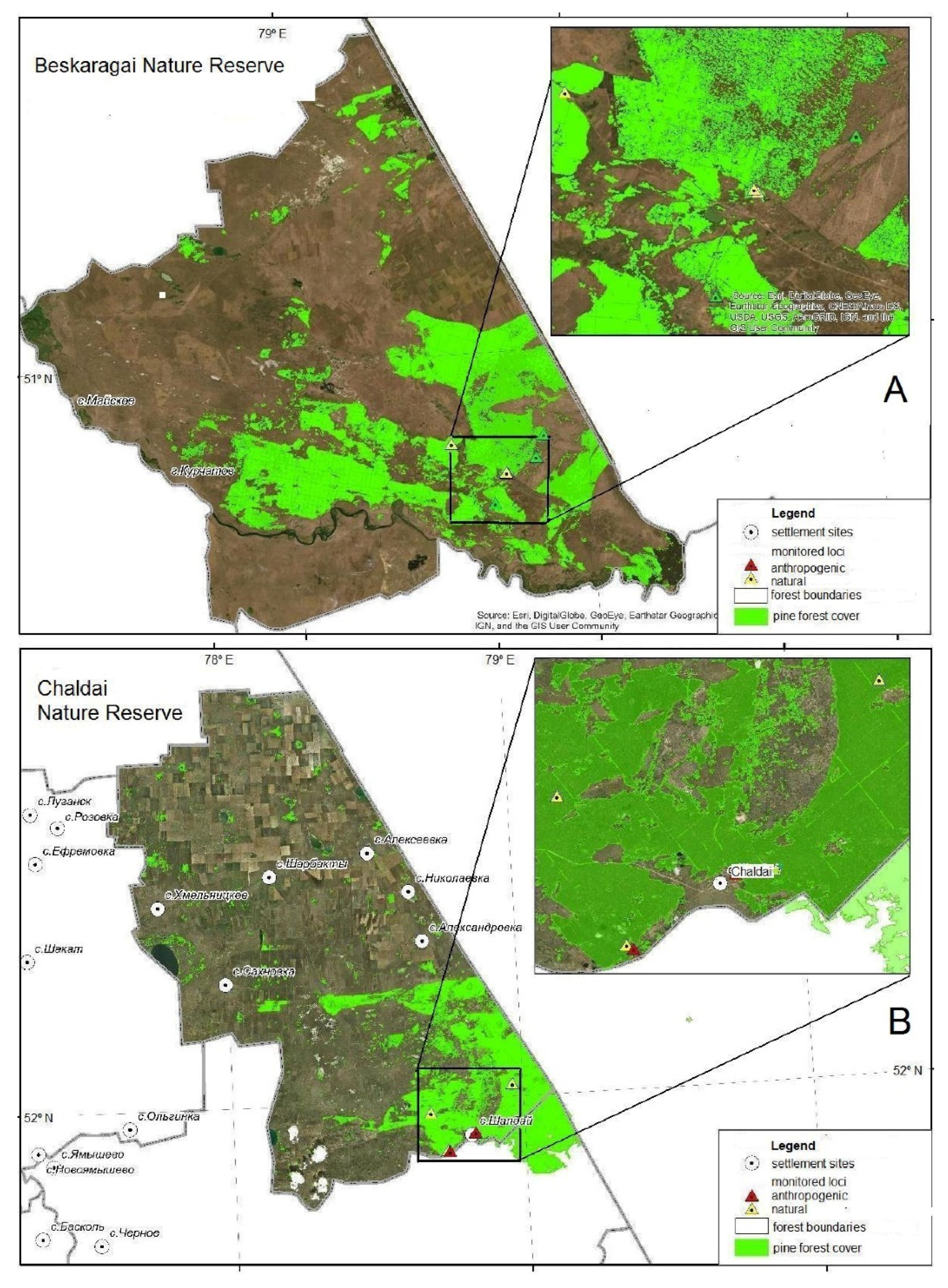 Forests 13 00002 g002