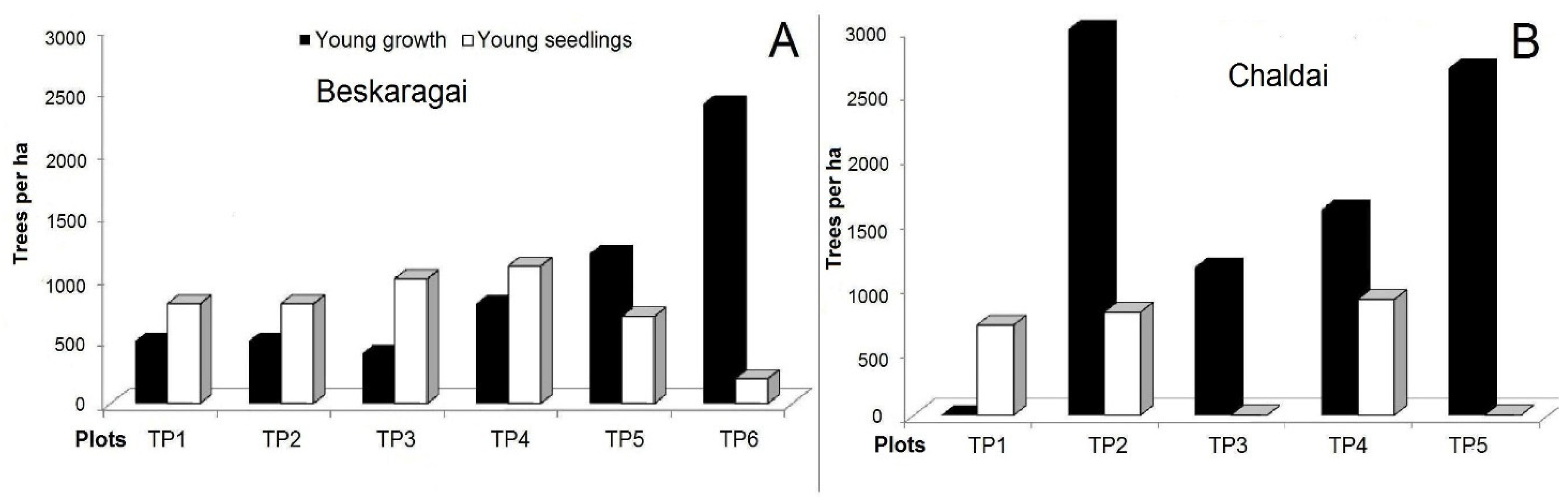 Forests 13 00002 g008