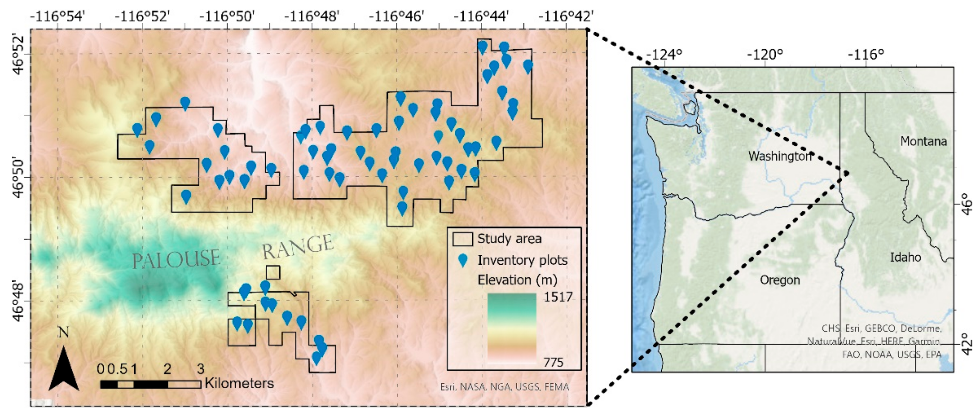 Forests 13 00003 g001