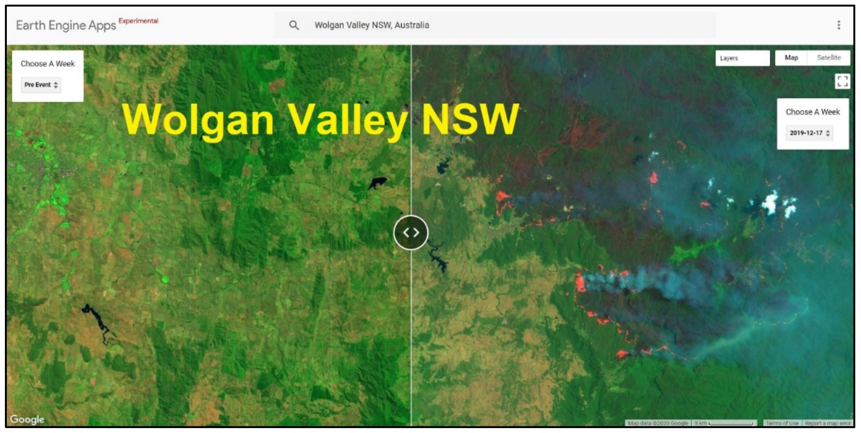 Forests 13 00004 g003