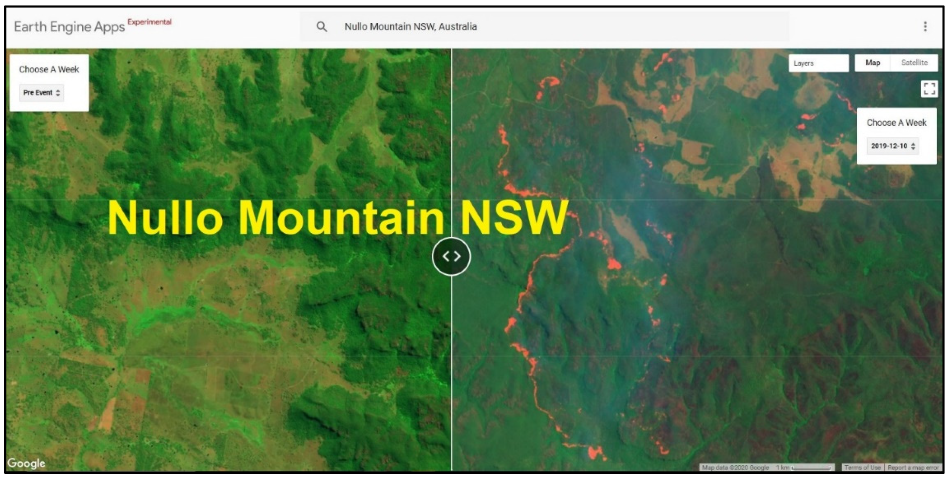 Forests 13 00004 g006