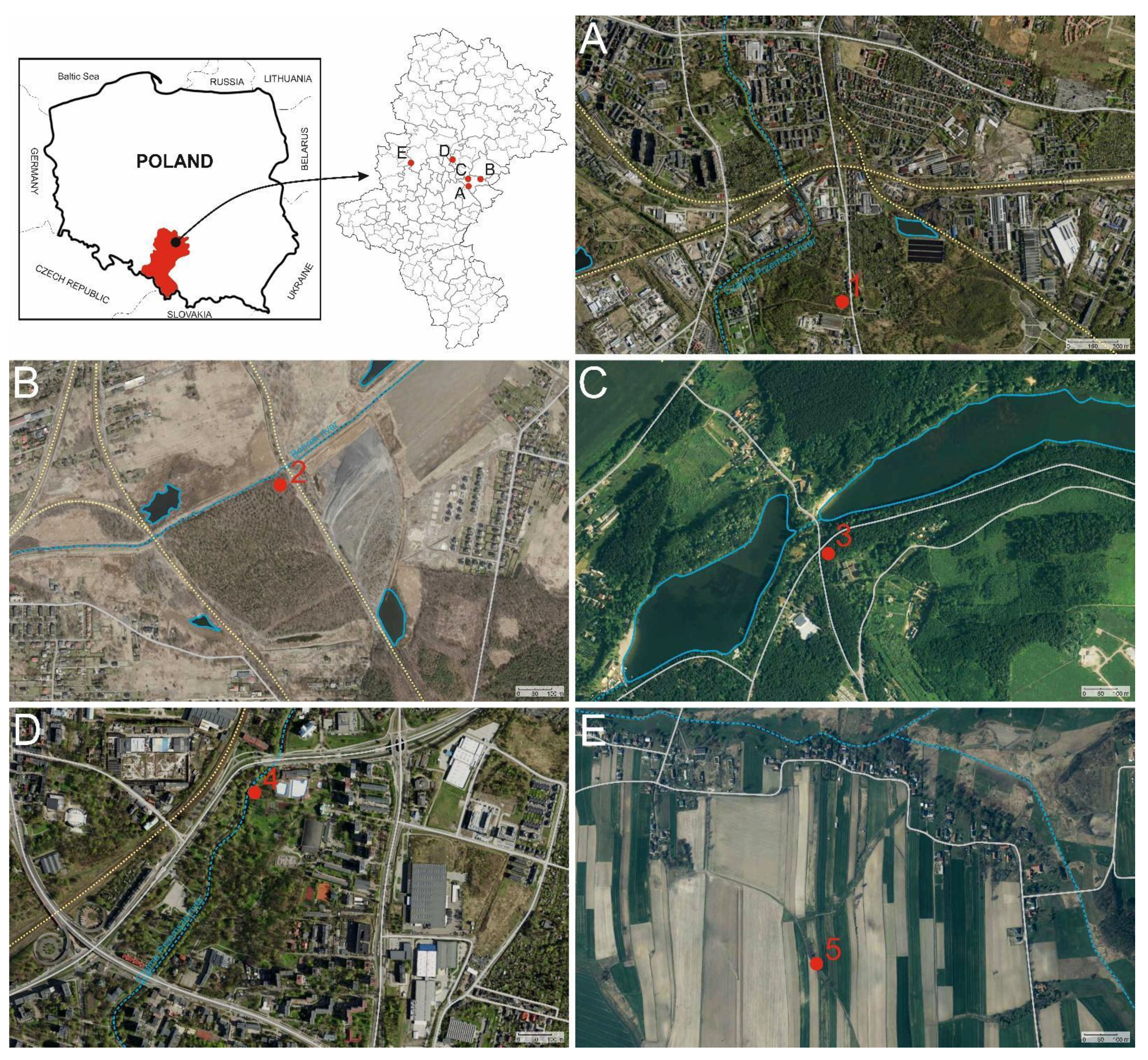 Forests 13 00007 g002