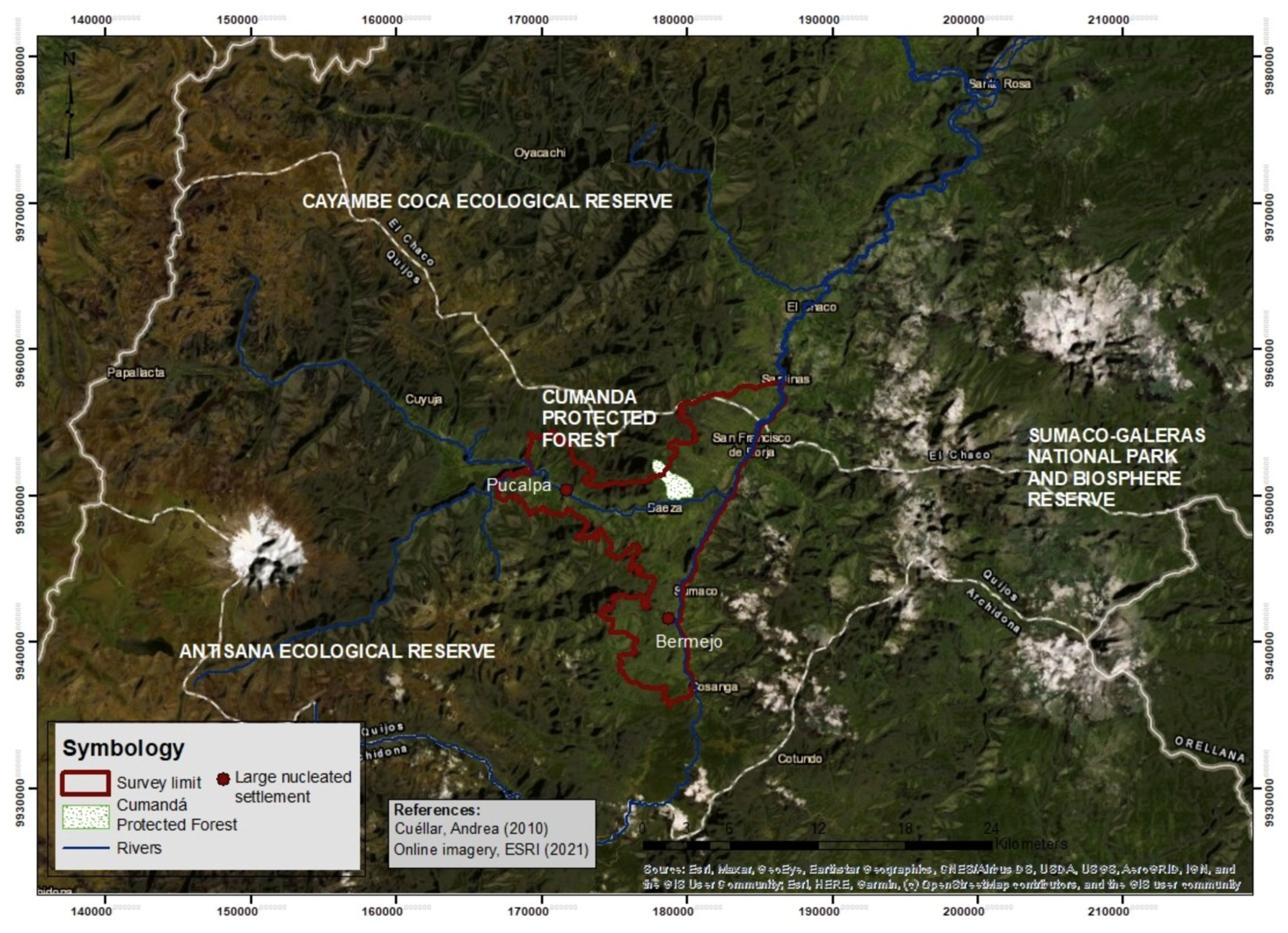 Forests 13 00011 g001