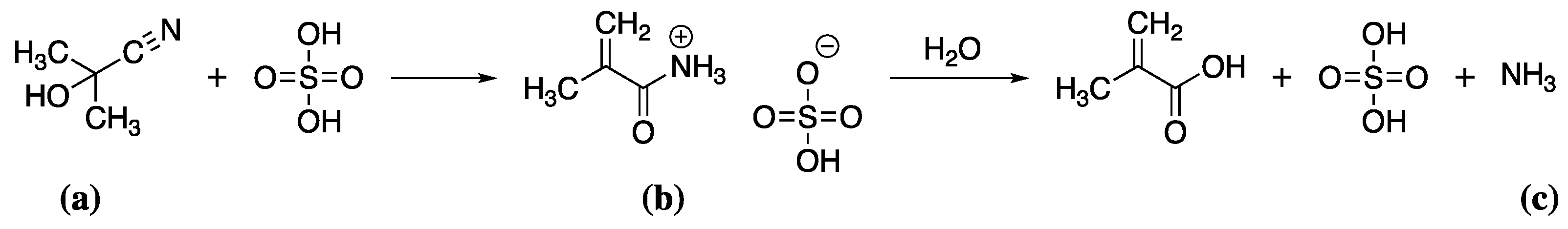 Forests 13 00018 sch003