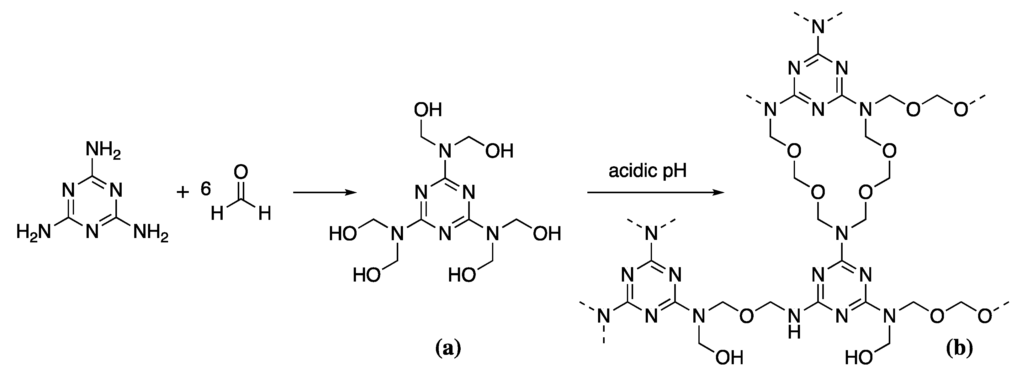 Forests 13 00018 sch004