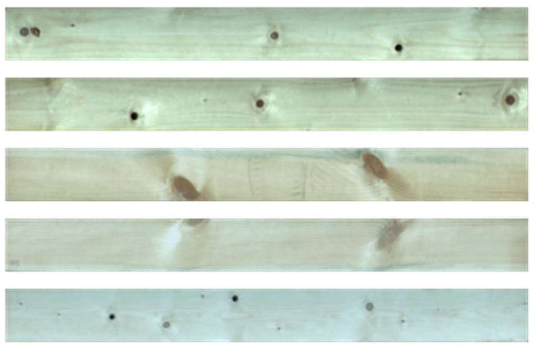 Forests 13 00026 g004 Forests 13 00026 g004