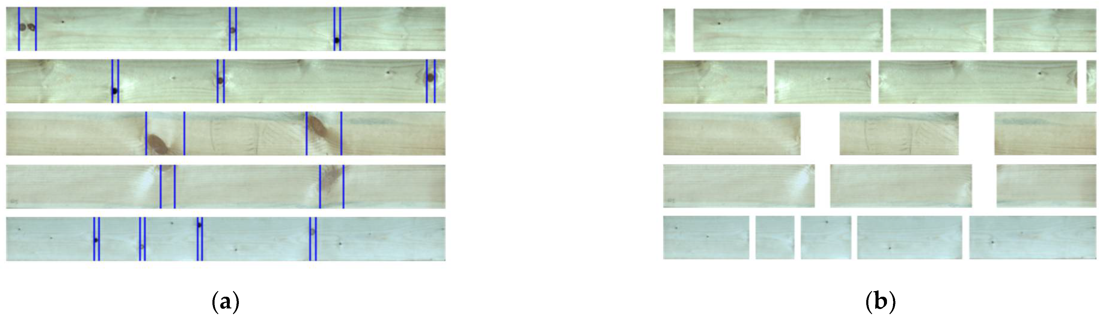 Forests 13 00026 g005 Forests 13 00026 g005