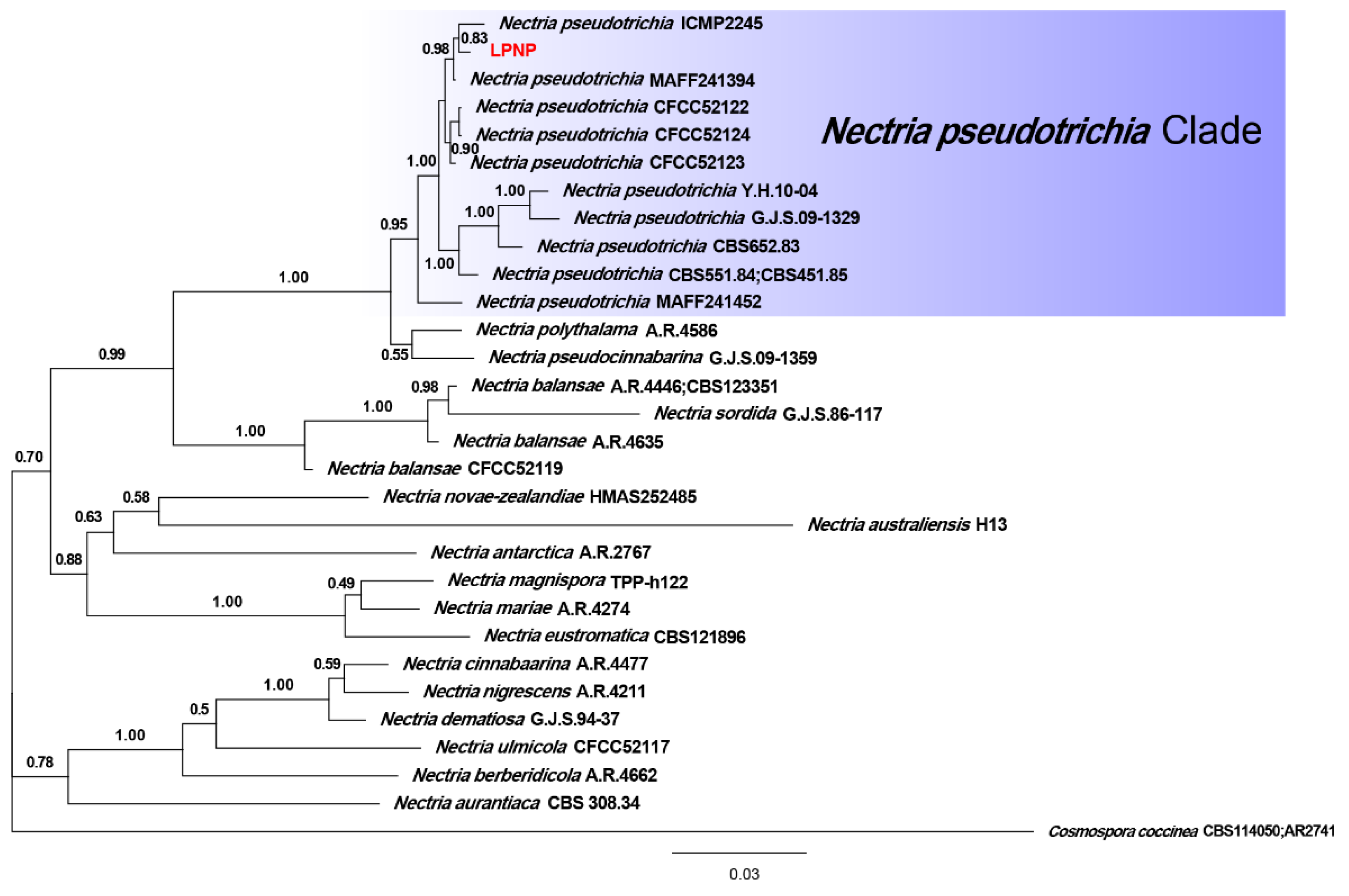 Forests 13 00029 g003