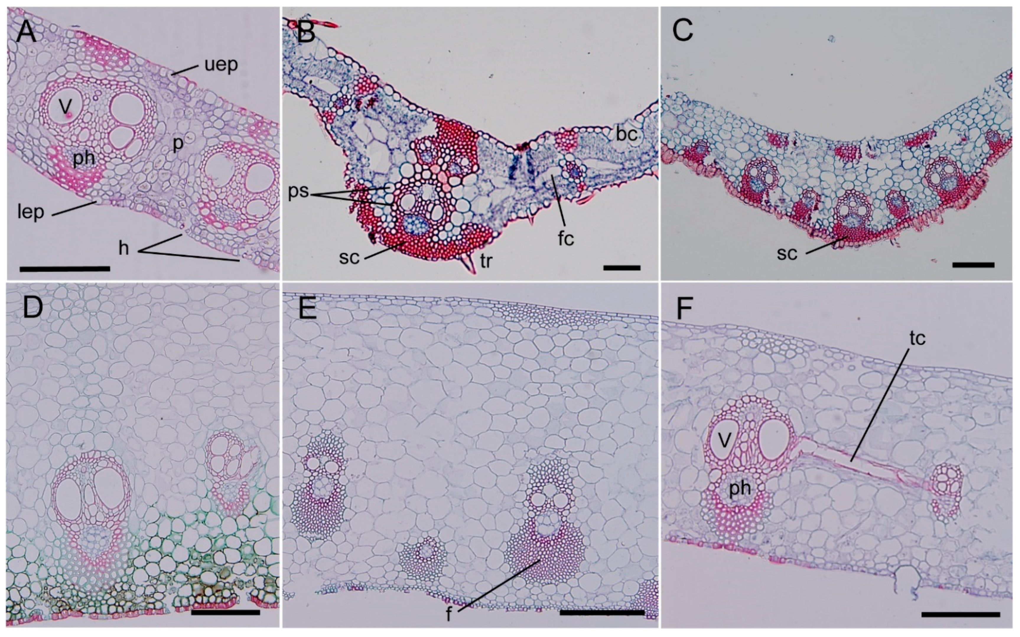 Forests 13 00031 g005