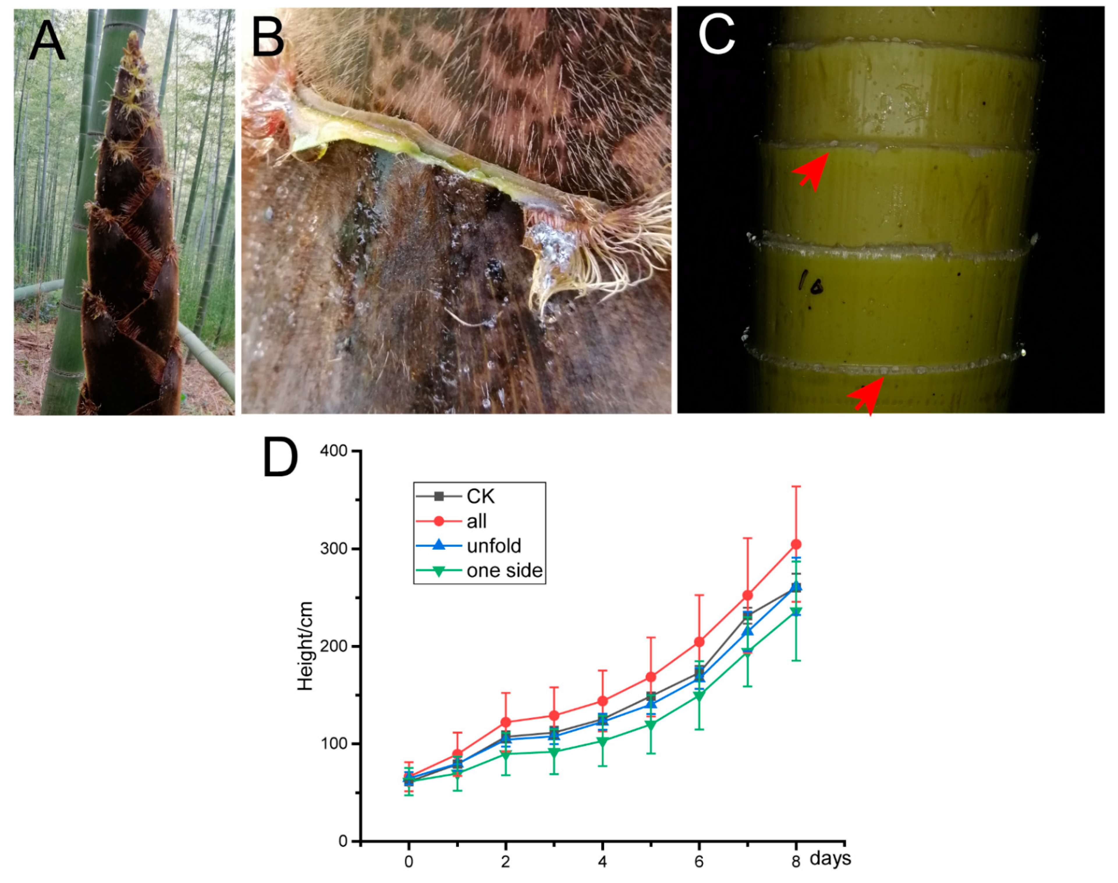 Forests 13 00031 g006