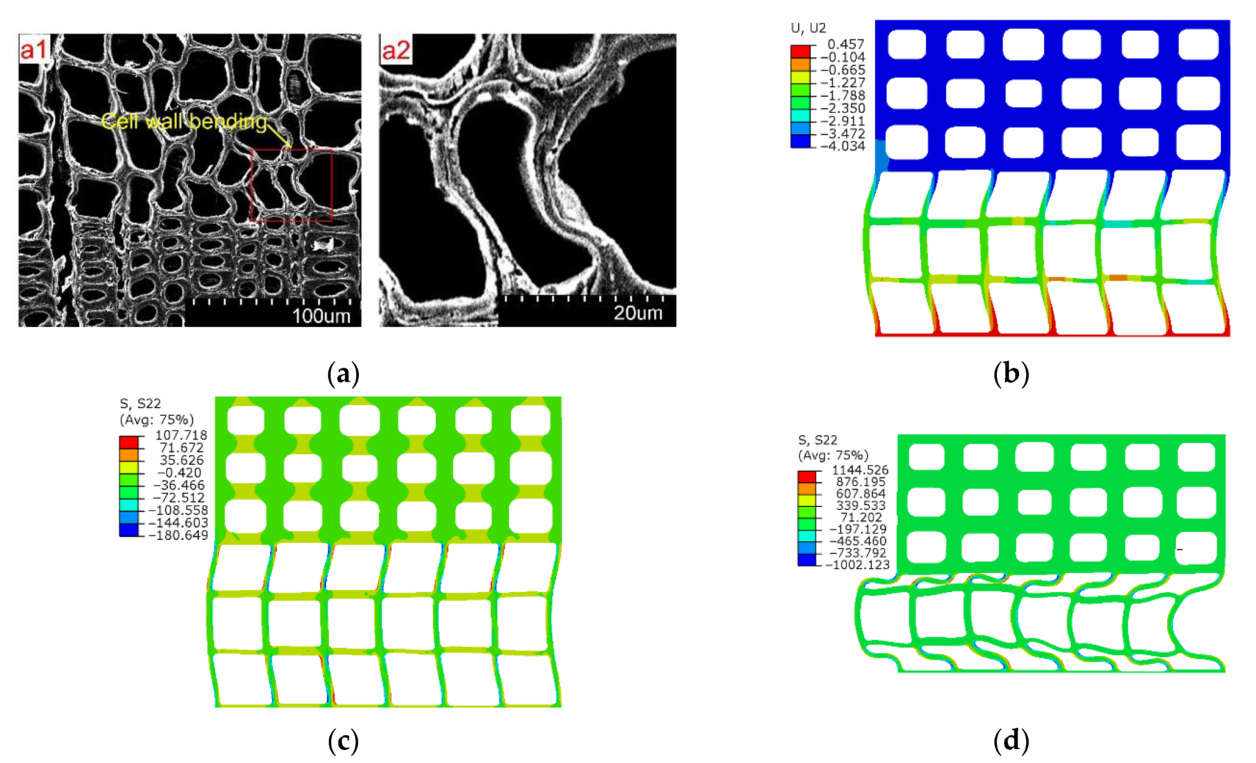 Forests 13 00032 g009