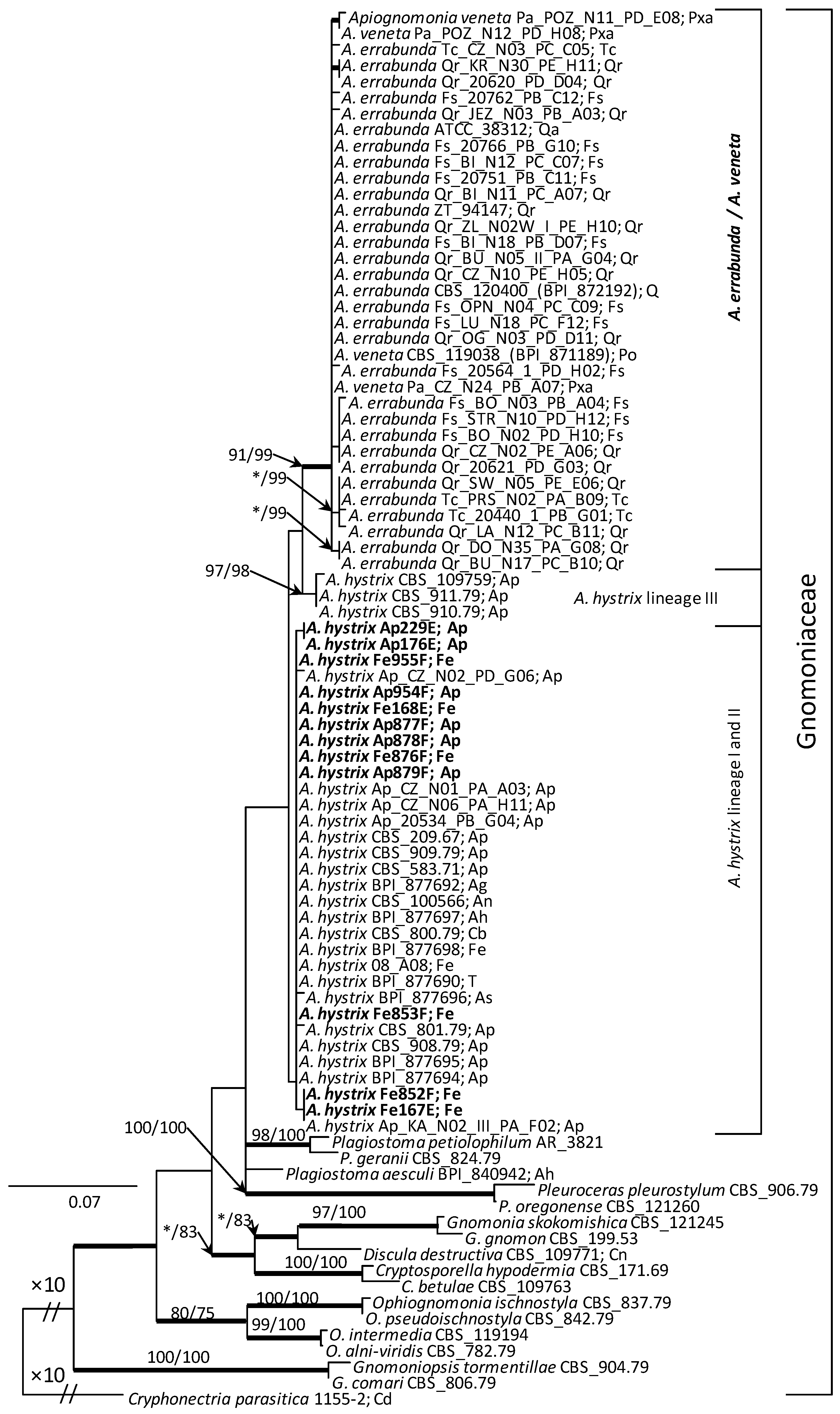 Forests 13 00035 g005