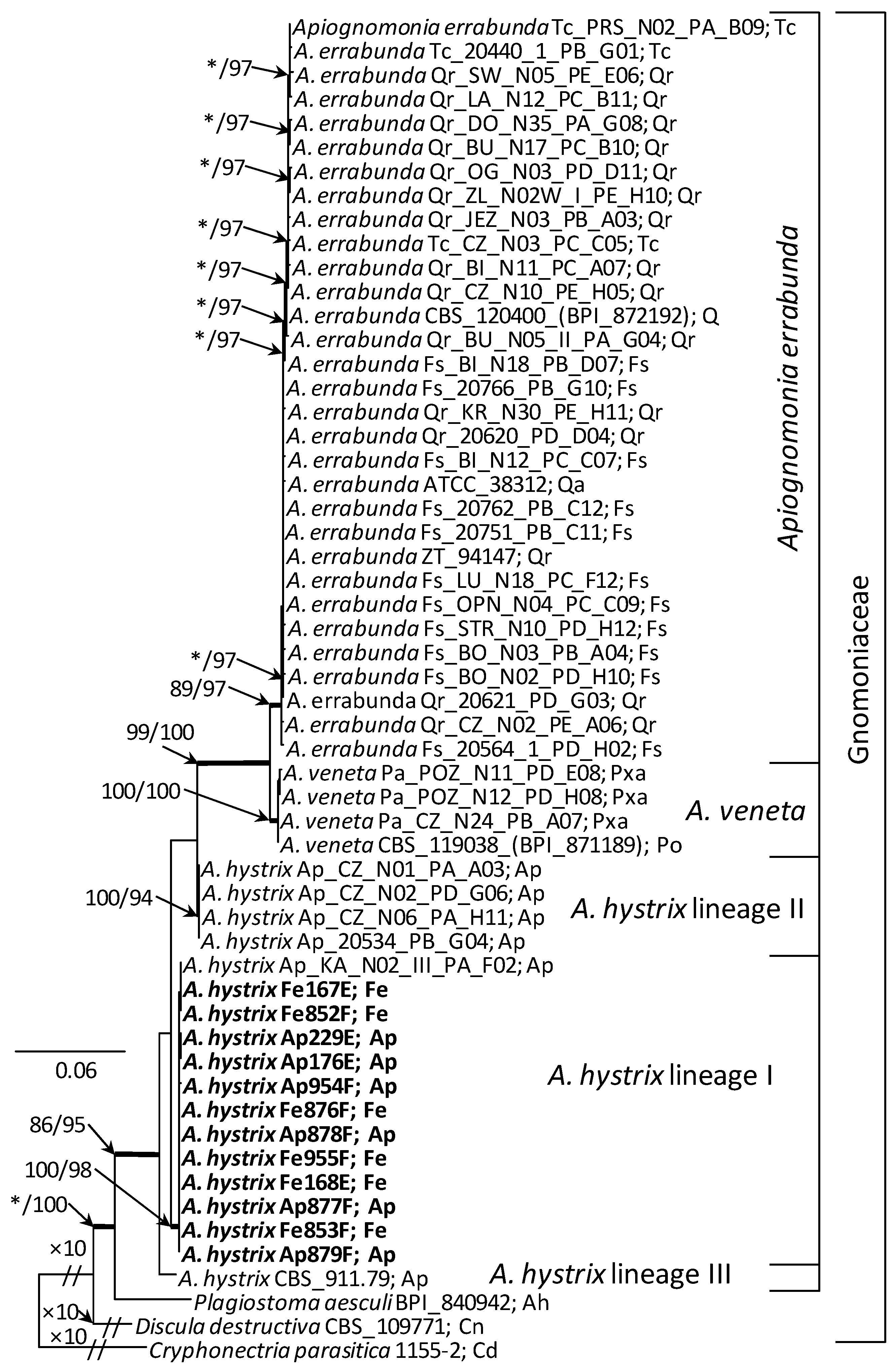 Forests 13 00035 g006