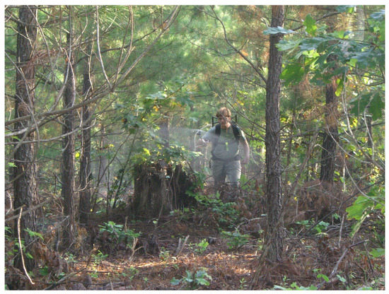 Forests 13 00036 g0a1