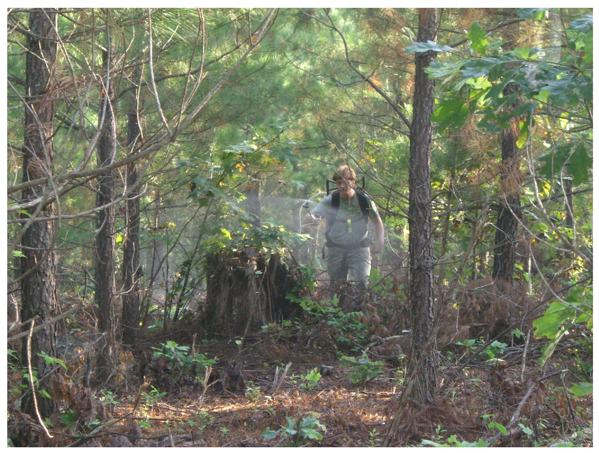 Forests 13 00036 g0a1