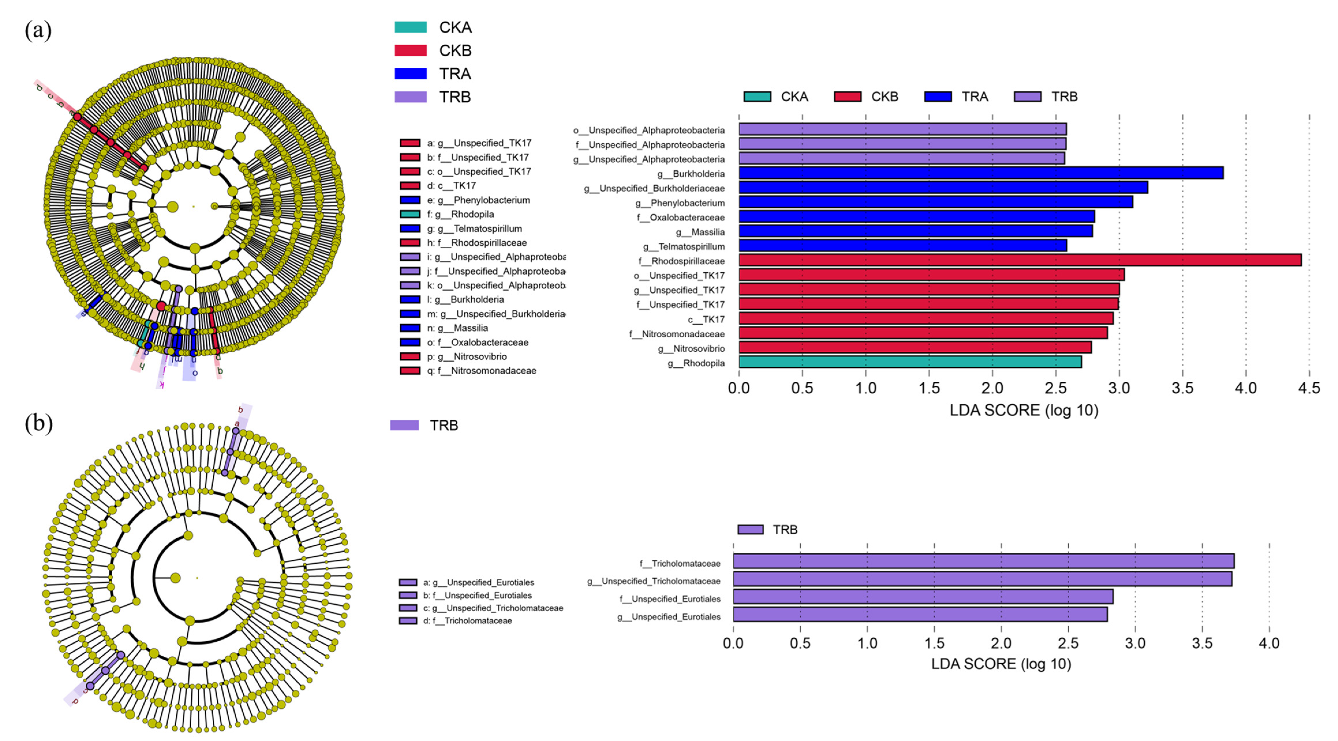 Forests 13 00037 g002