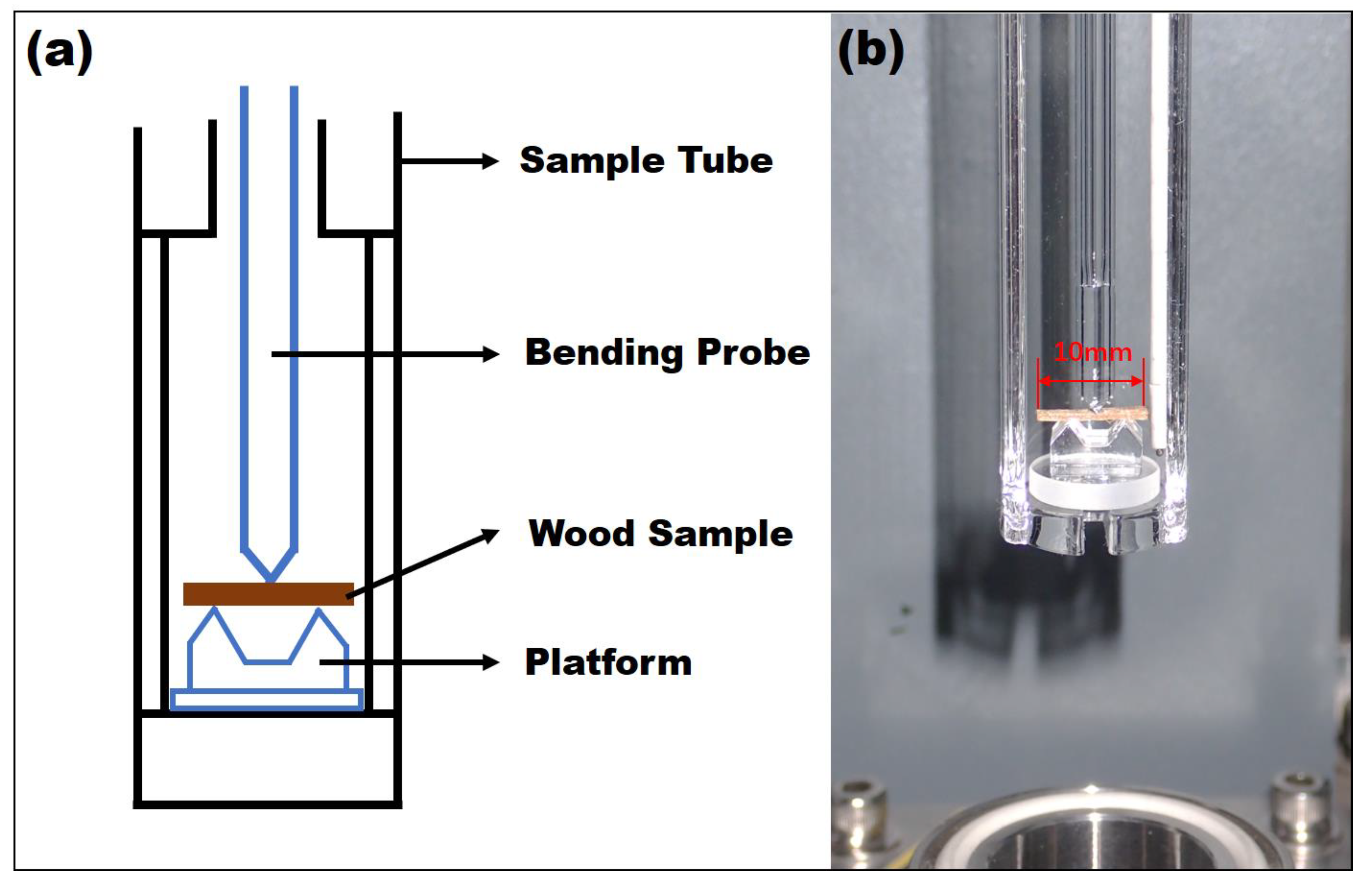 Forests 13 00038 g002