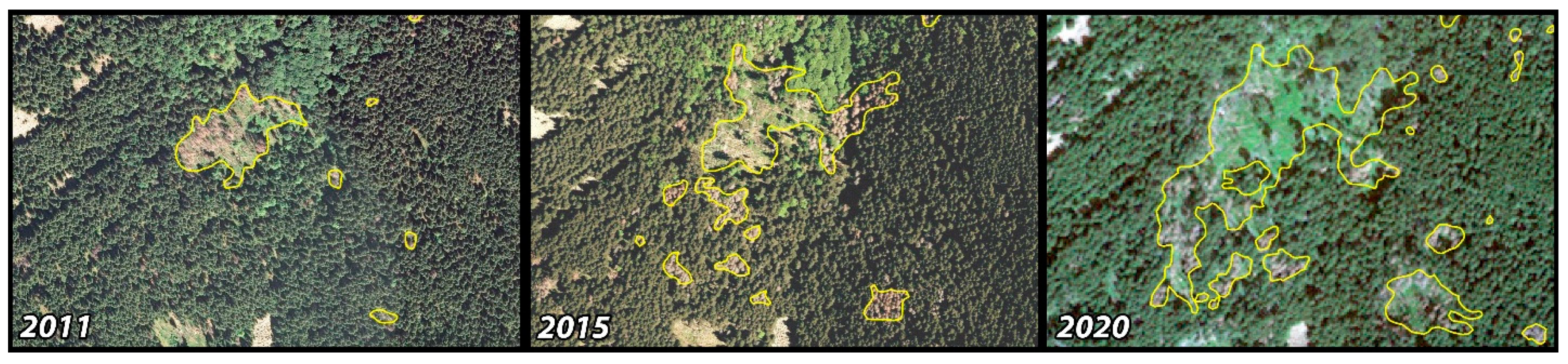 Forests 13 00039 g003