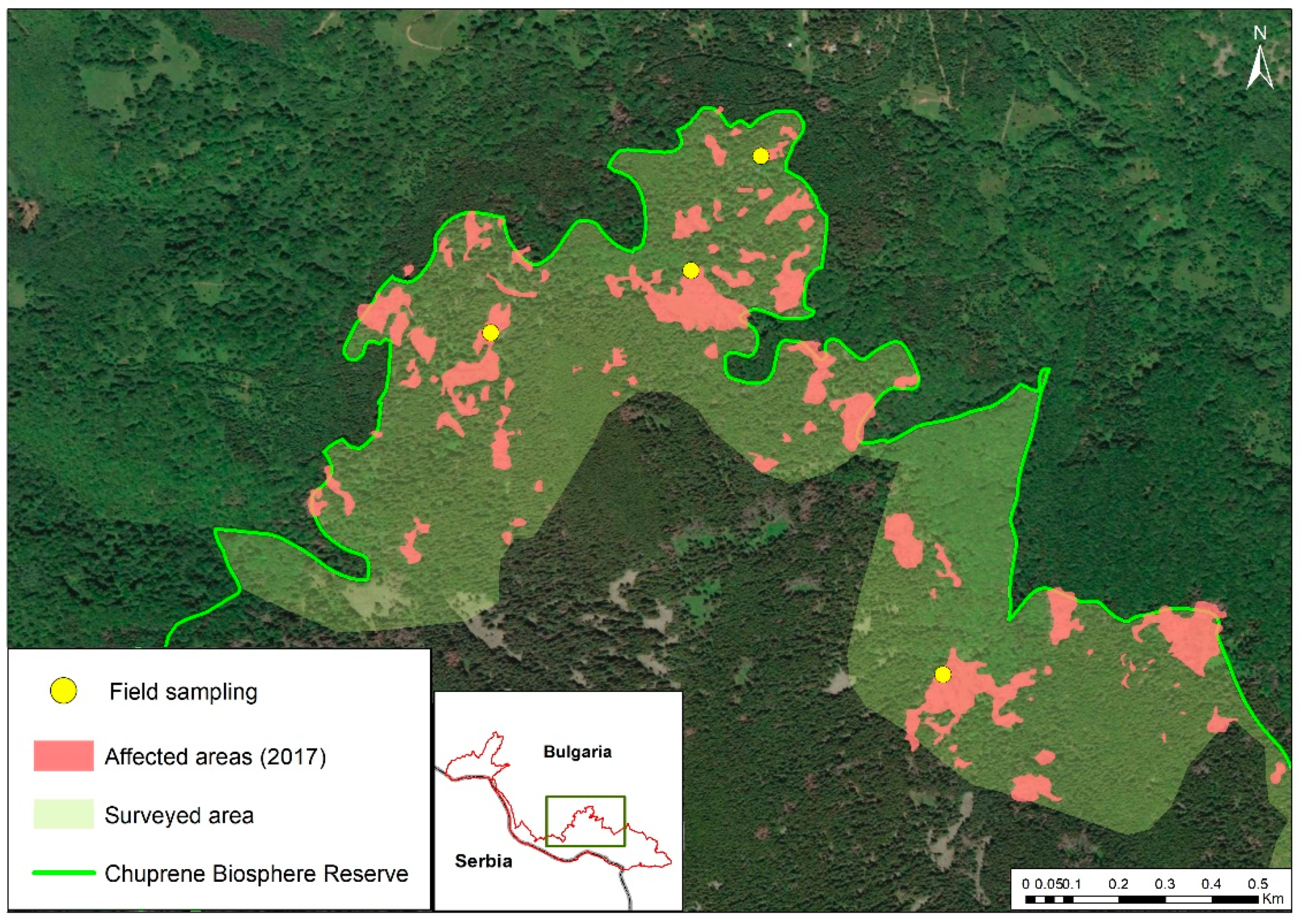 Forests 13 00039 g004