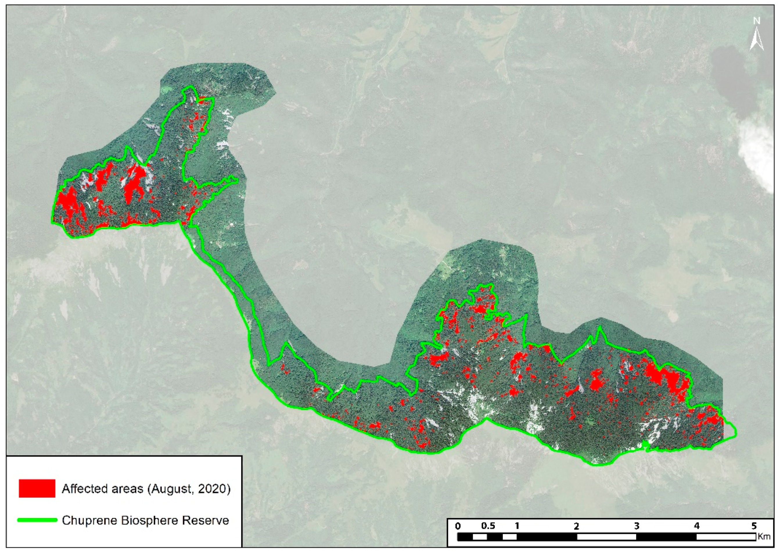 Forests 13 00039 g007