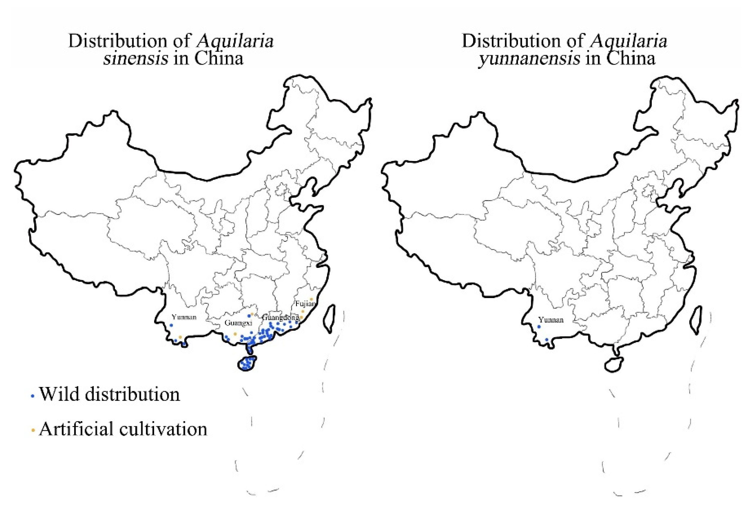 Forests 13 00043 g001