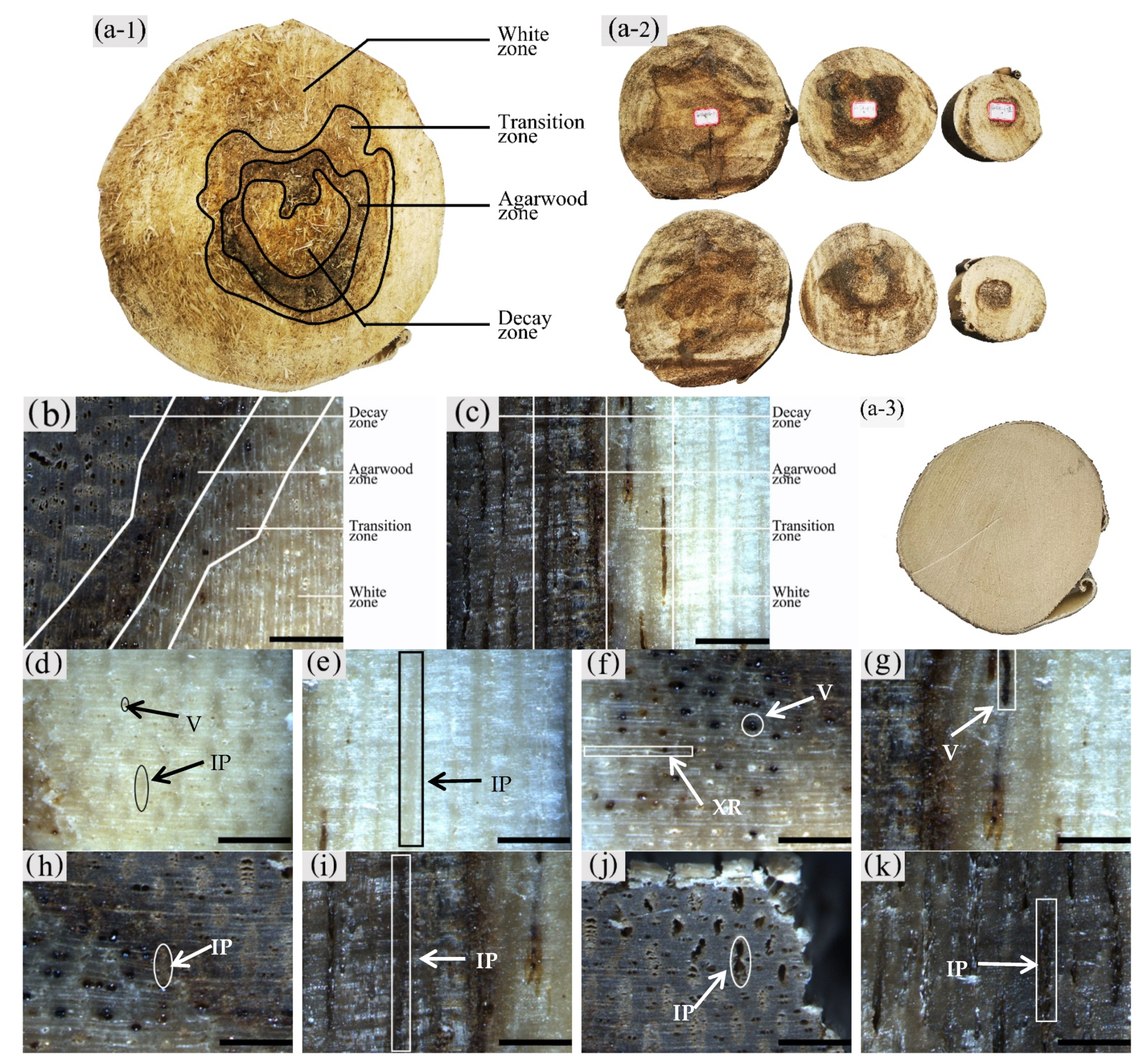 Forests 13 00043 g003