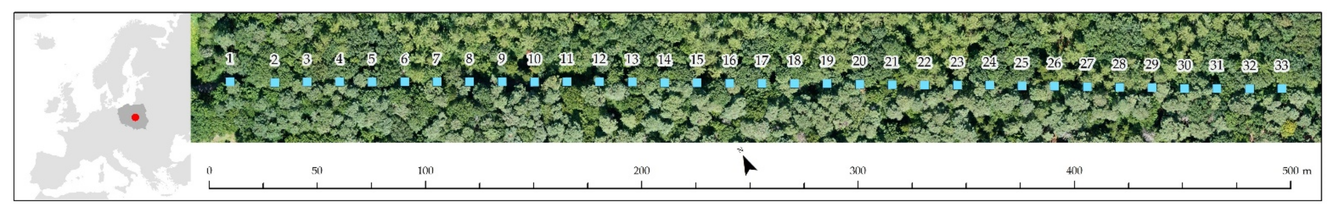 Forests 13 00045 g001