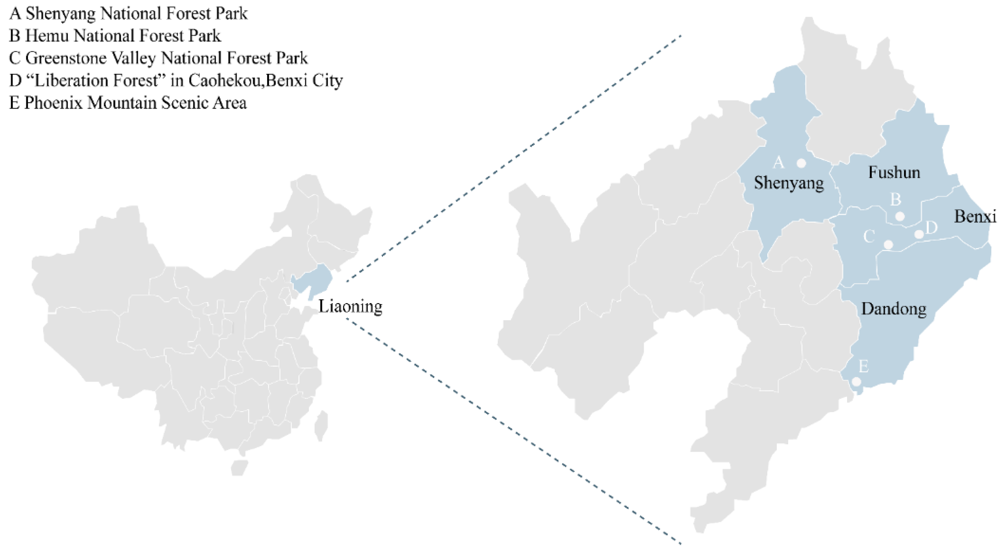 Forests 13 00047 g001