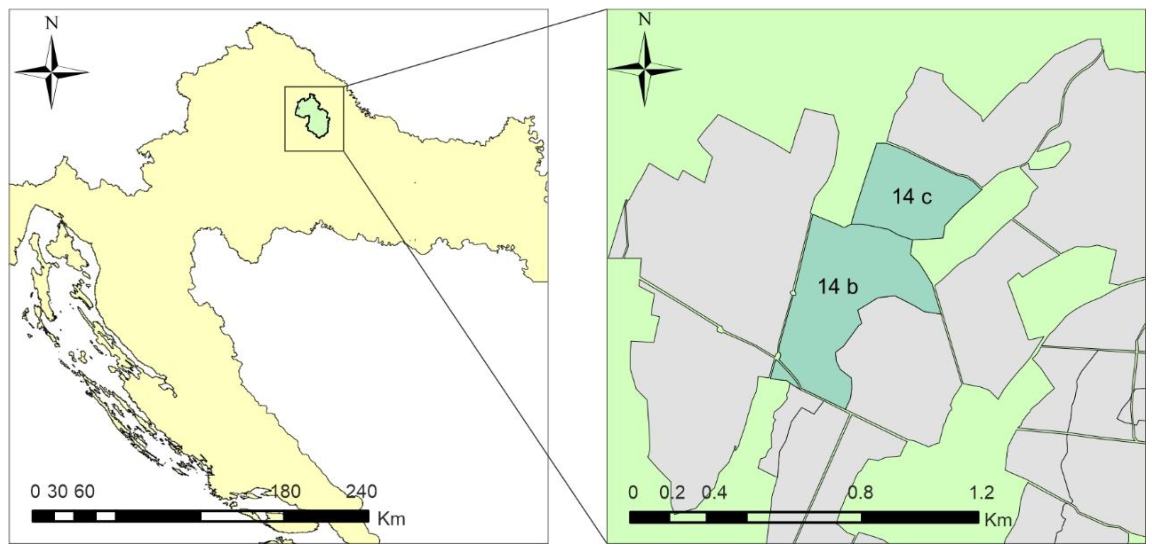 Forests 13 00051 g001