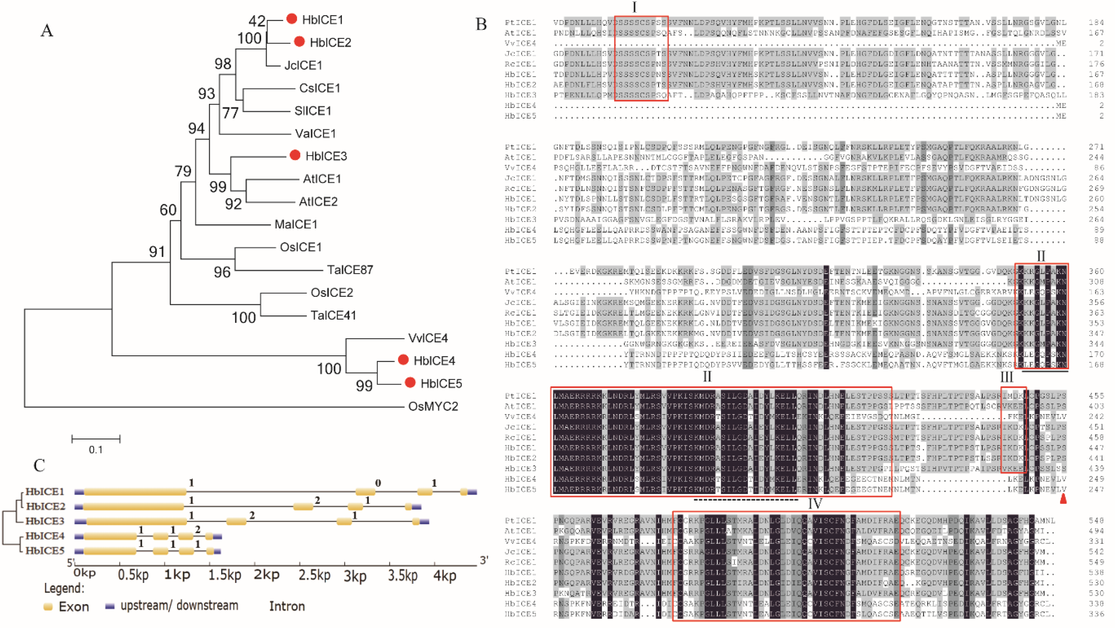 Forests 13 00052 g001 Forests 13 00052 g001