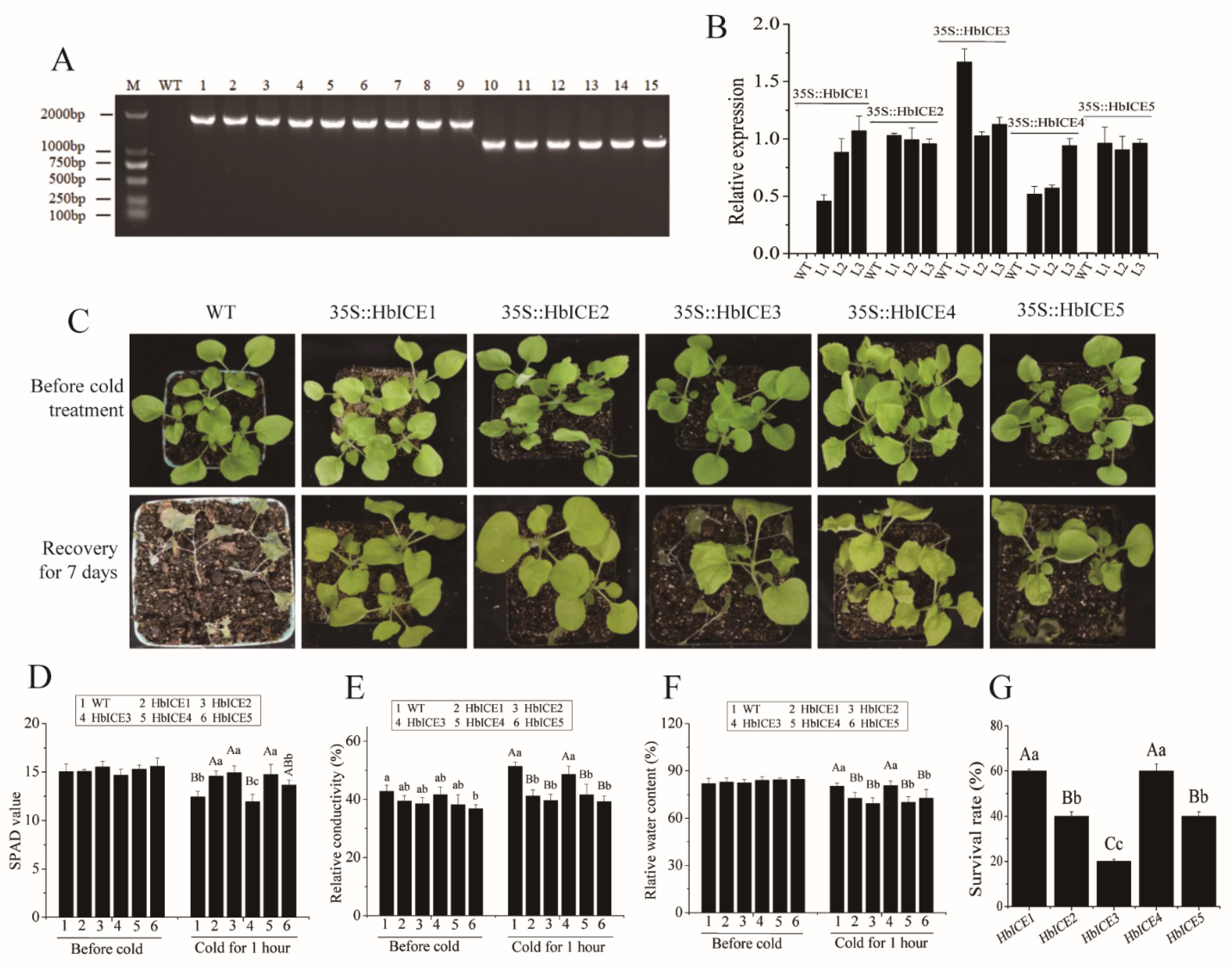 Forests 13 00052 g006 Forests 13 00052 g006
