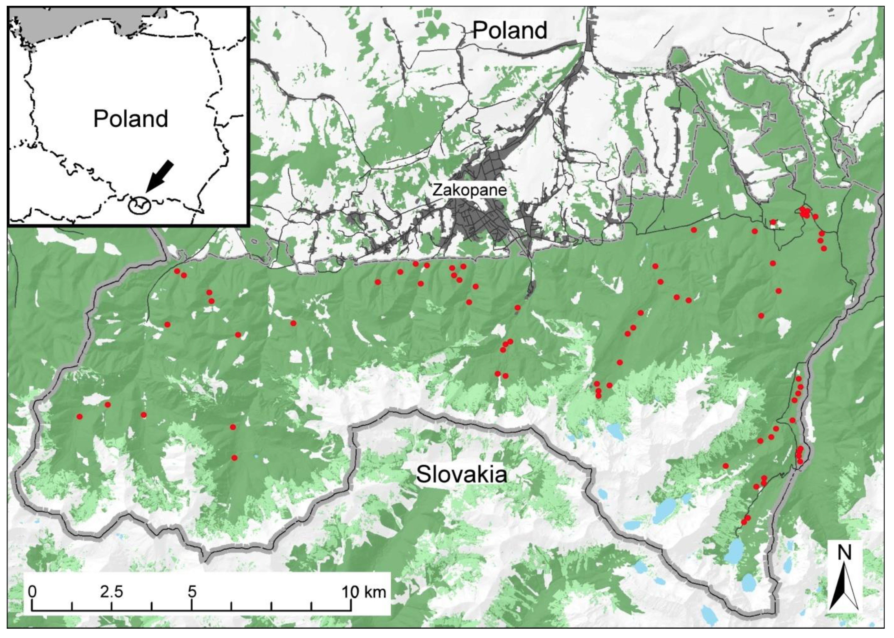 Forests 13 00056 g001