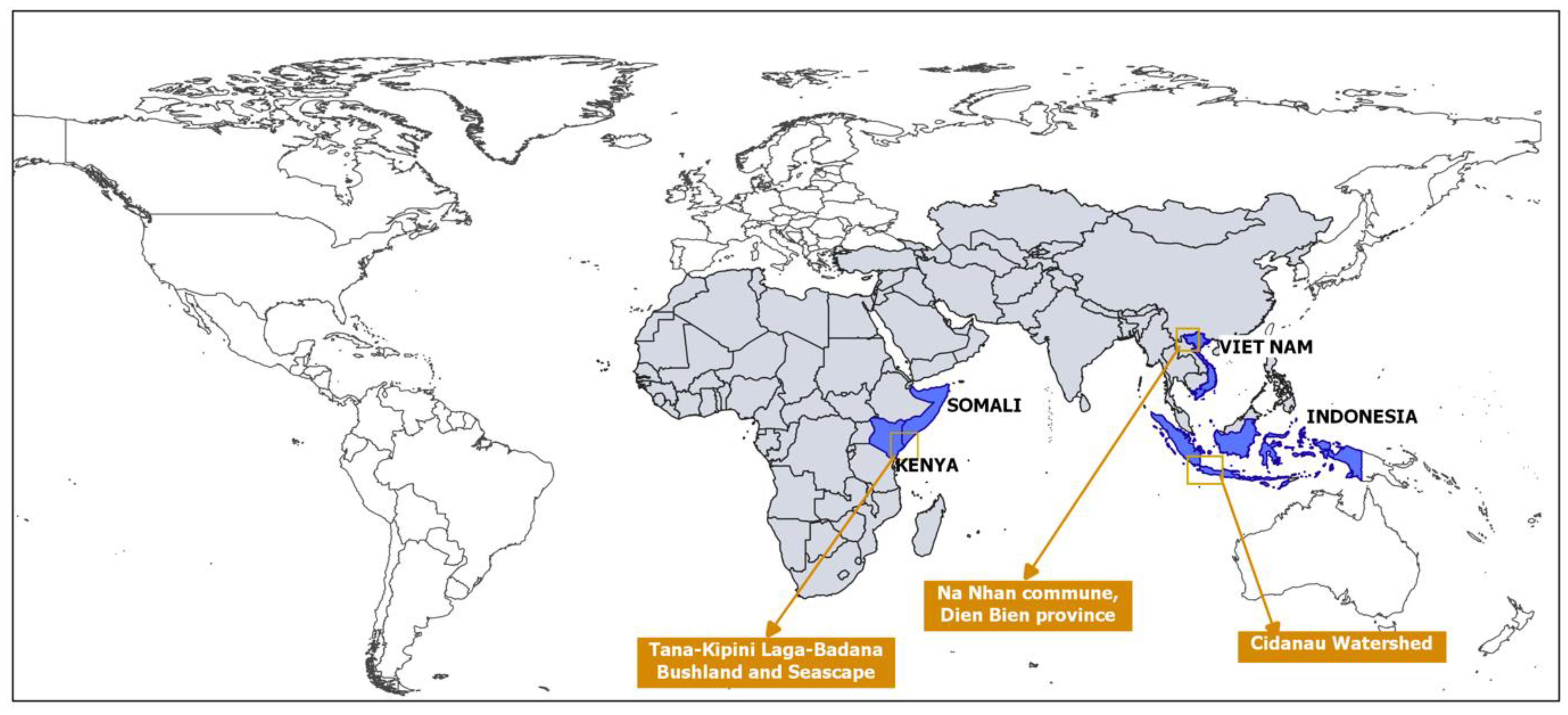 Forests 13 00068 g001