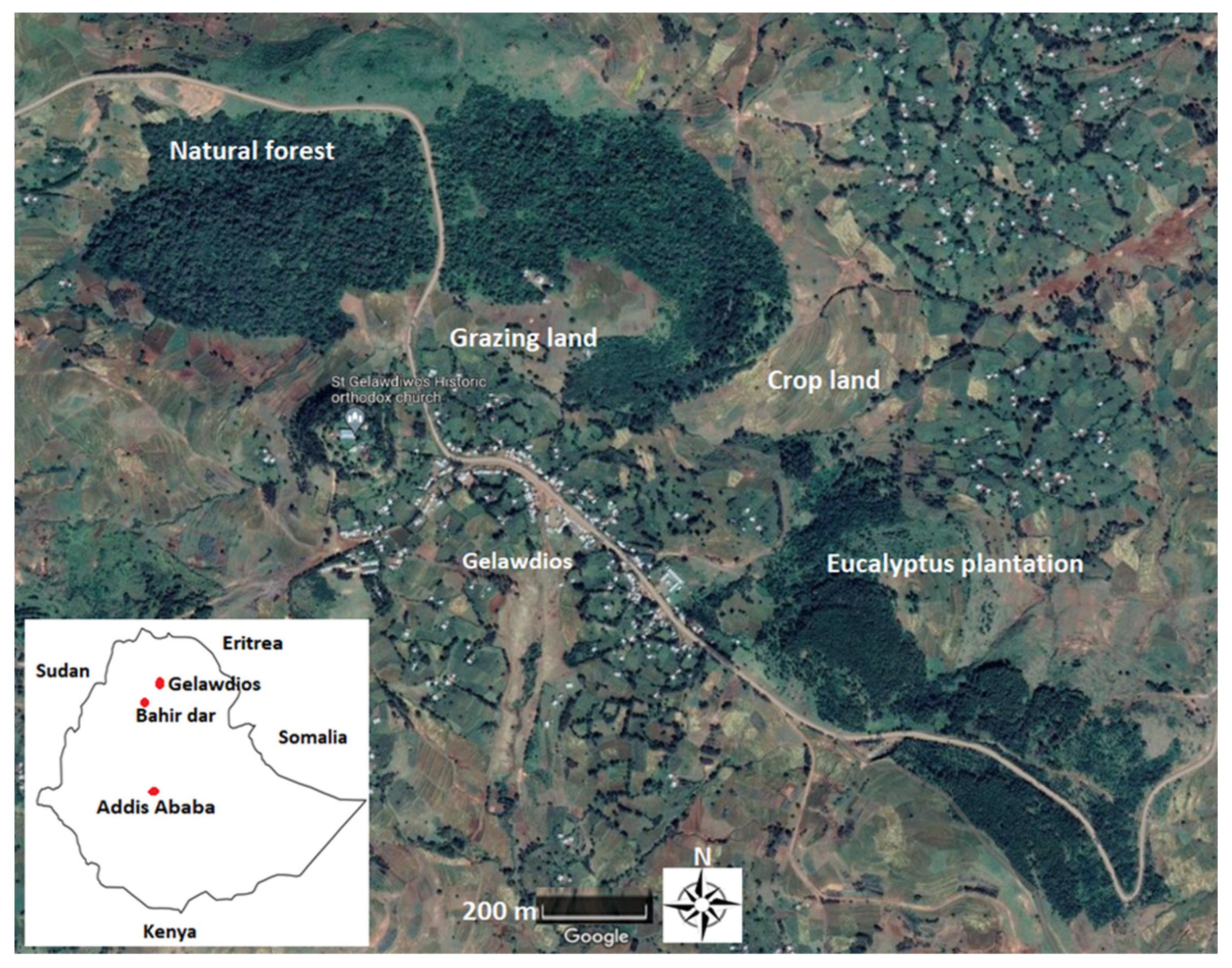 Forests 13 00069 g001