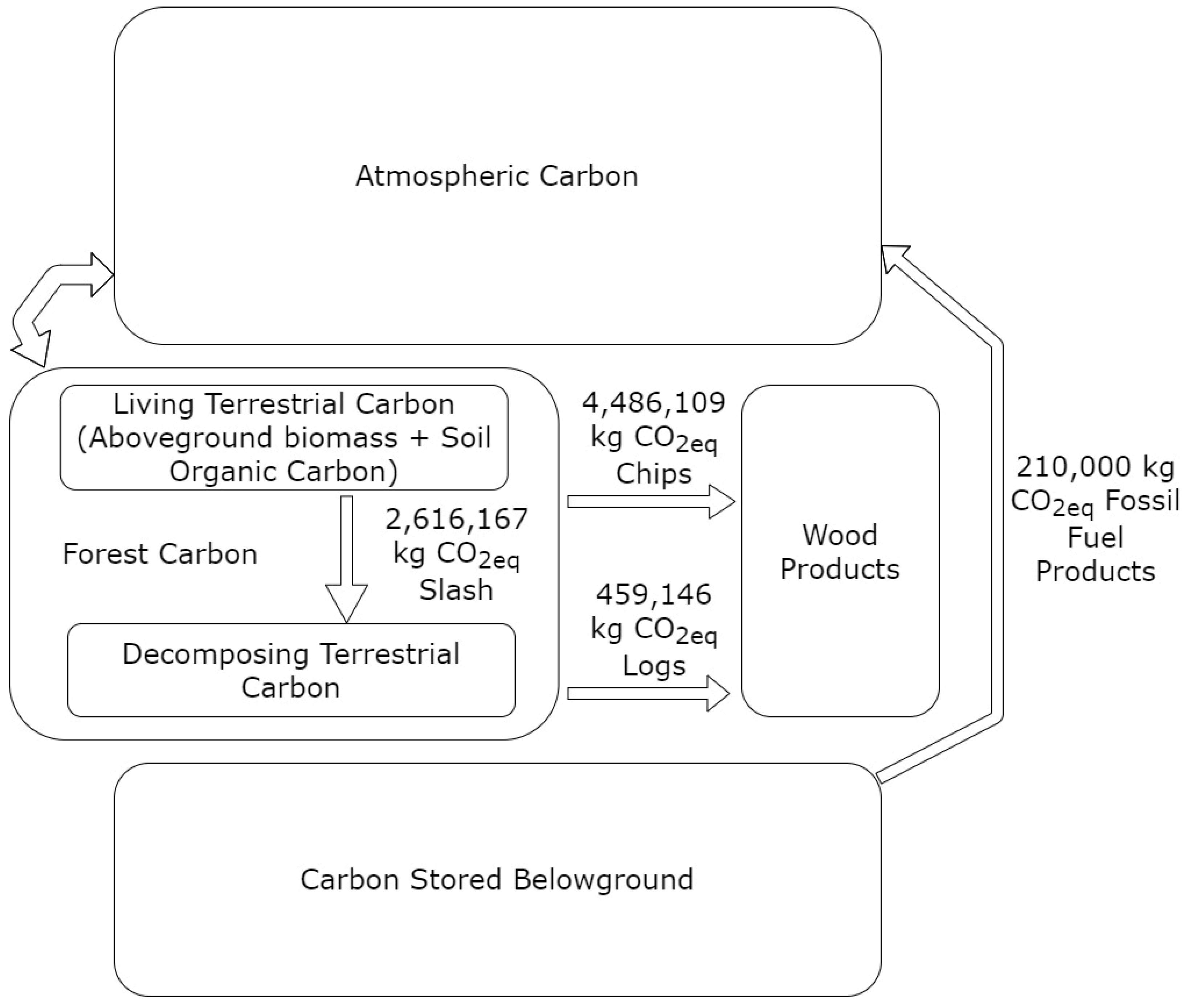 Forests 13 00070 g005