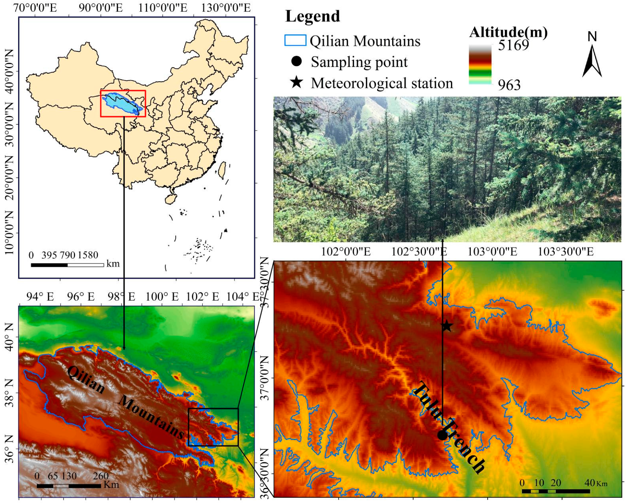 Forests 13 00072 g001