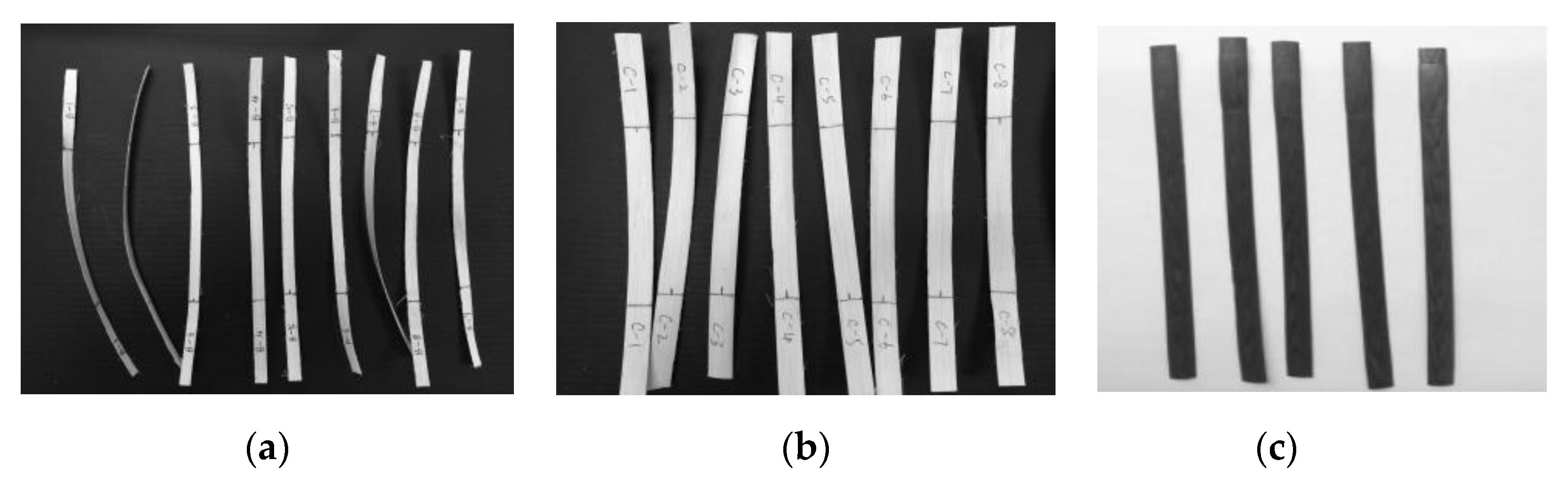 Forests 13 00076 g003