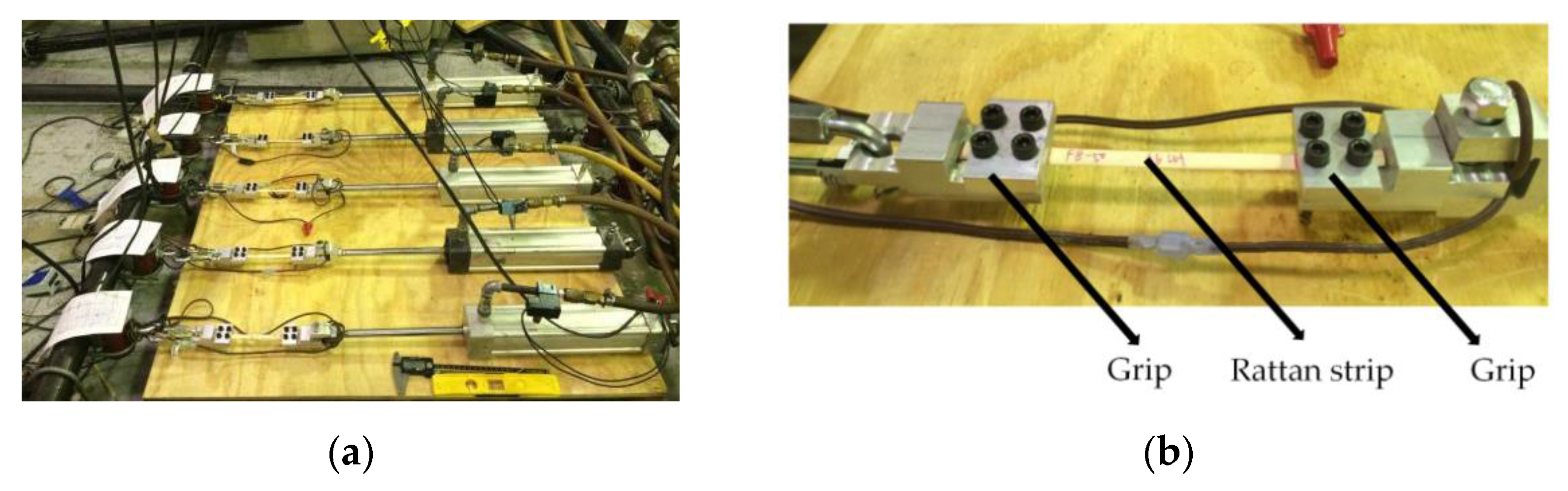 Forests 13 00076 g005