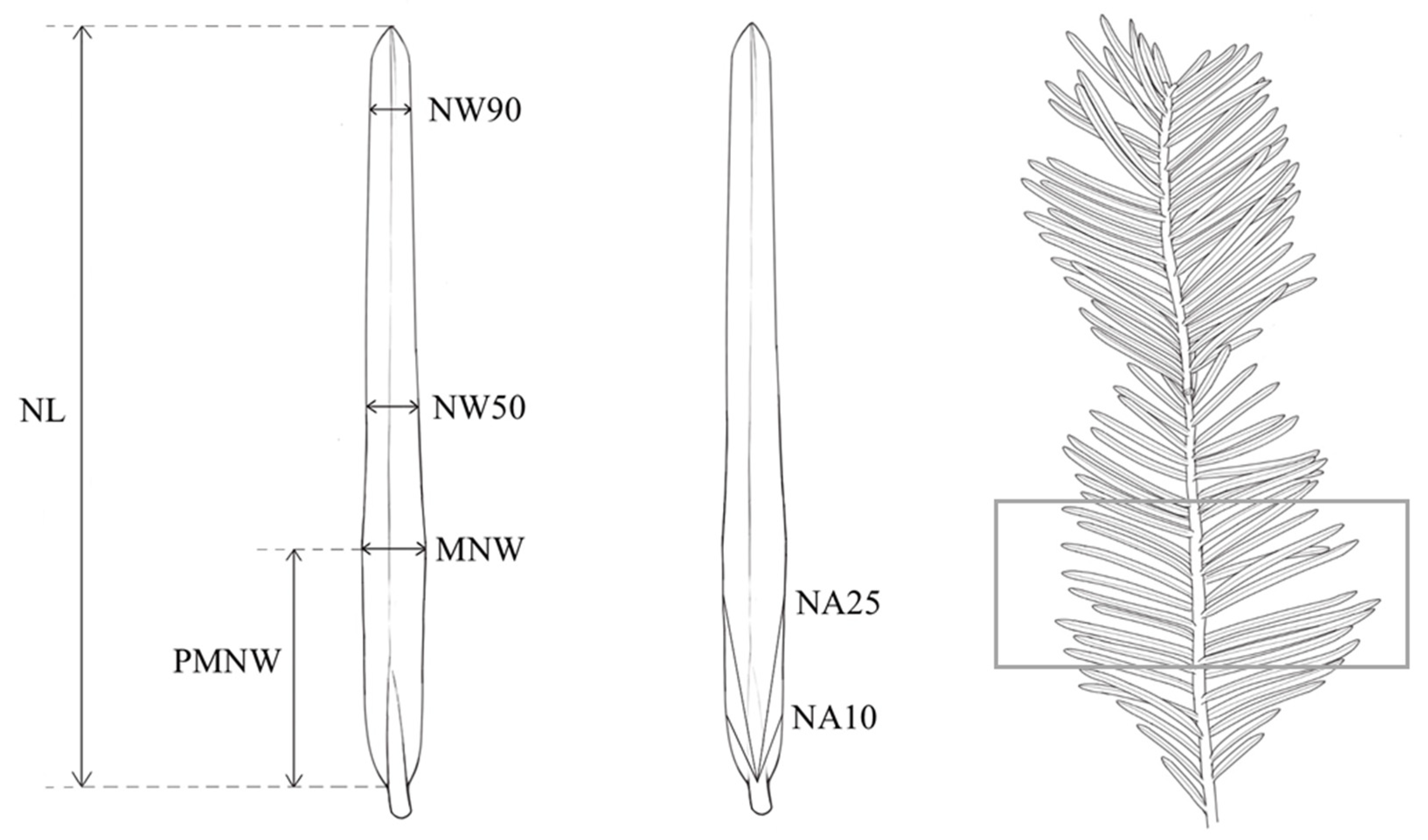 Forests 13 00078 g002